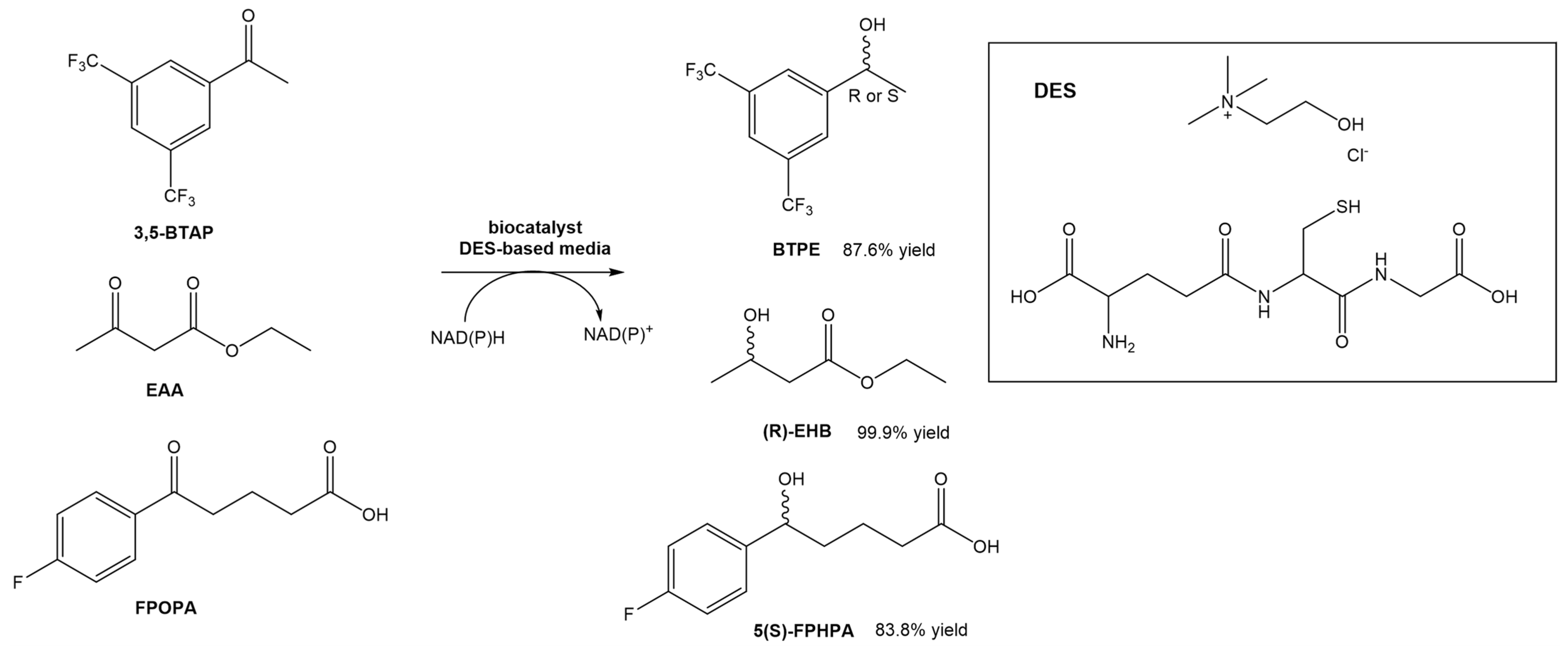 Pharmaceuticals 17 00221 sch006