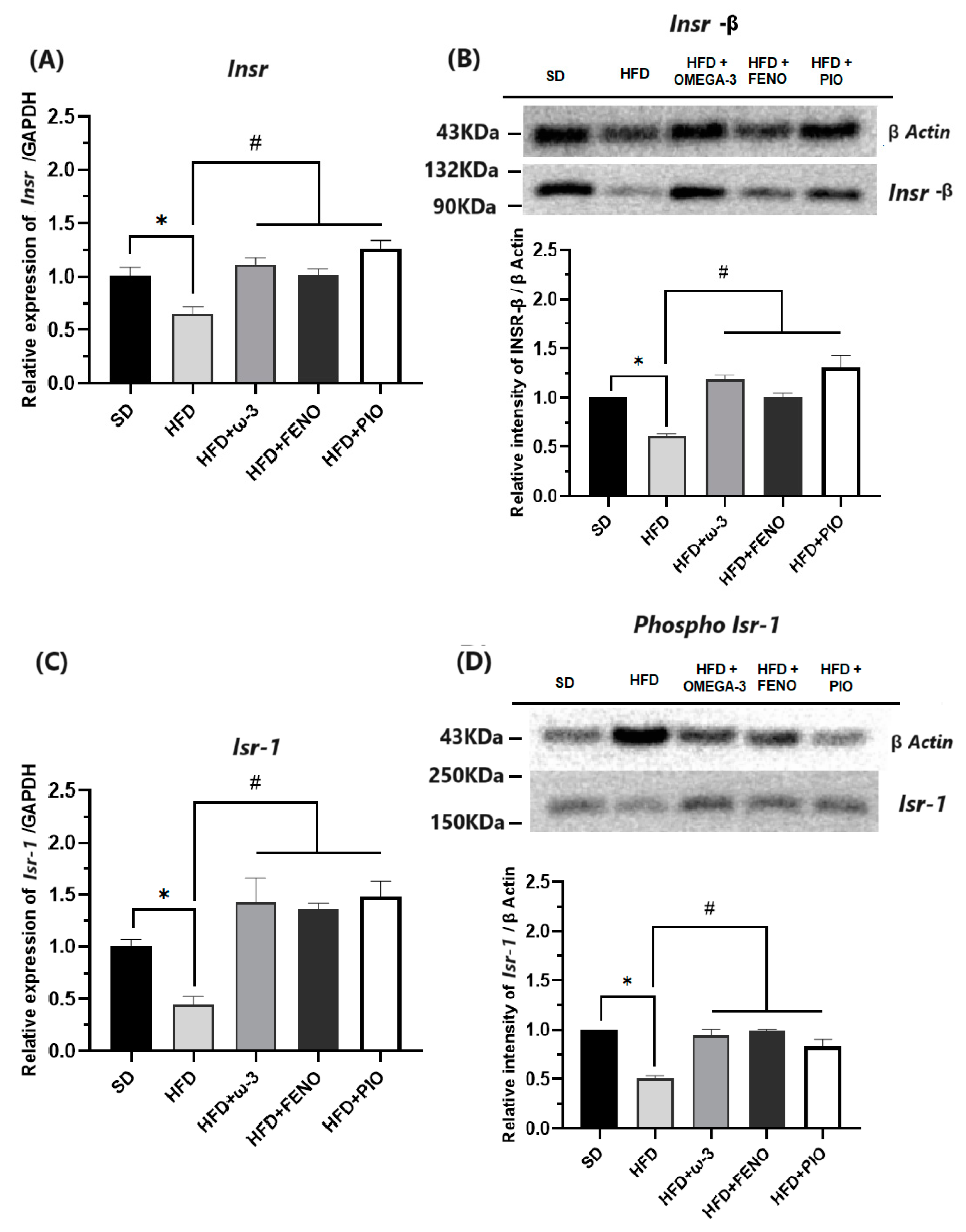 Pharmaceuticals 17 00222 g006