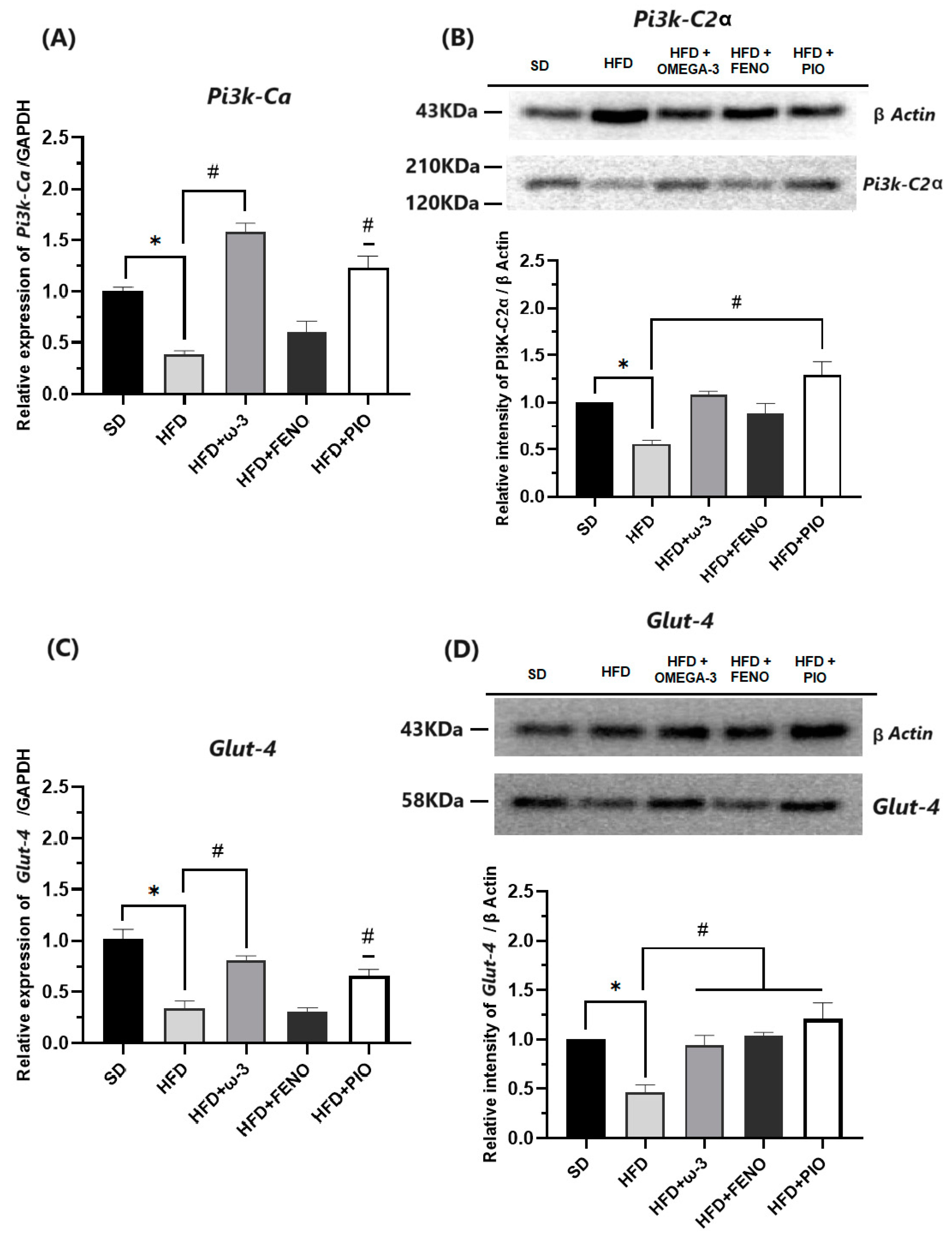 Pharmaceuticals 17 00222 g007
