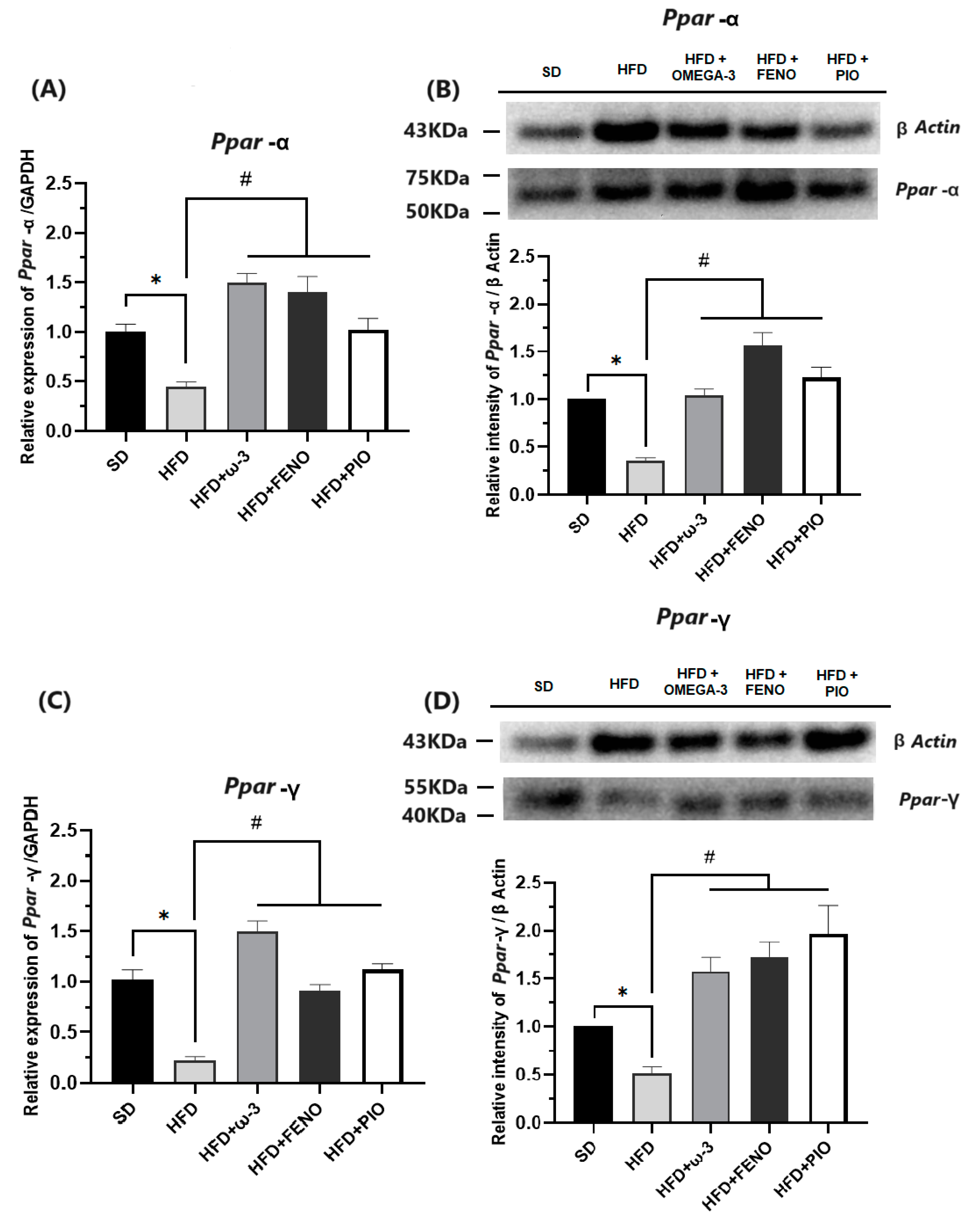 Pharmaceuticals 17 00222 g008
