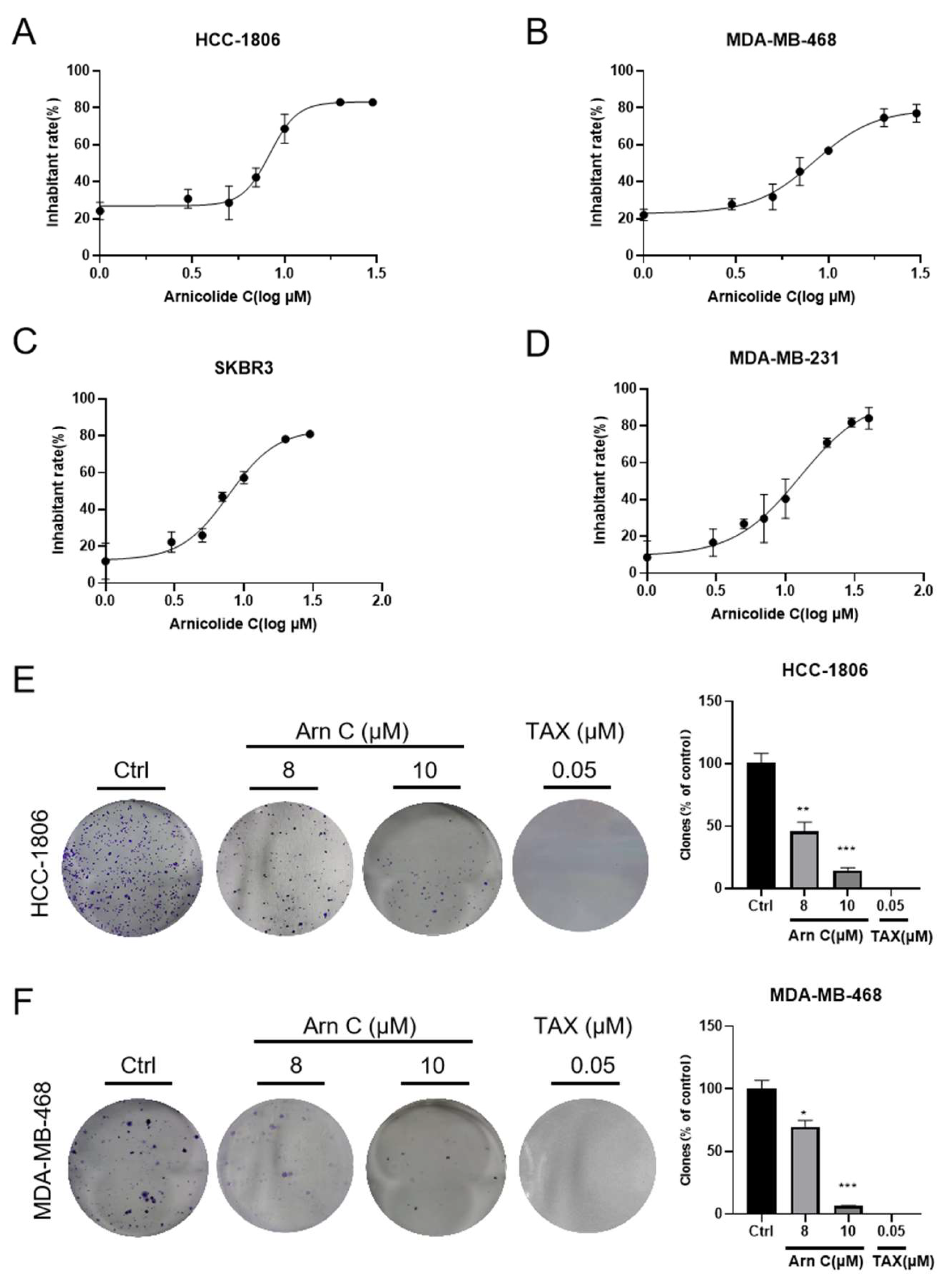 Pharmaceuticals 17 00224 g001 Pharmaceuticals 17 00224 g001