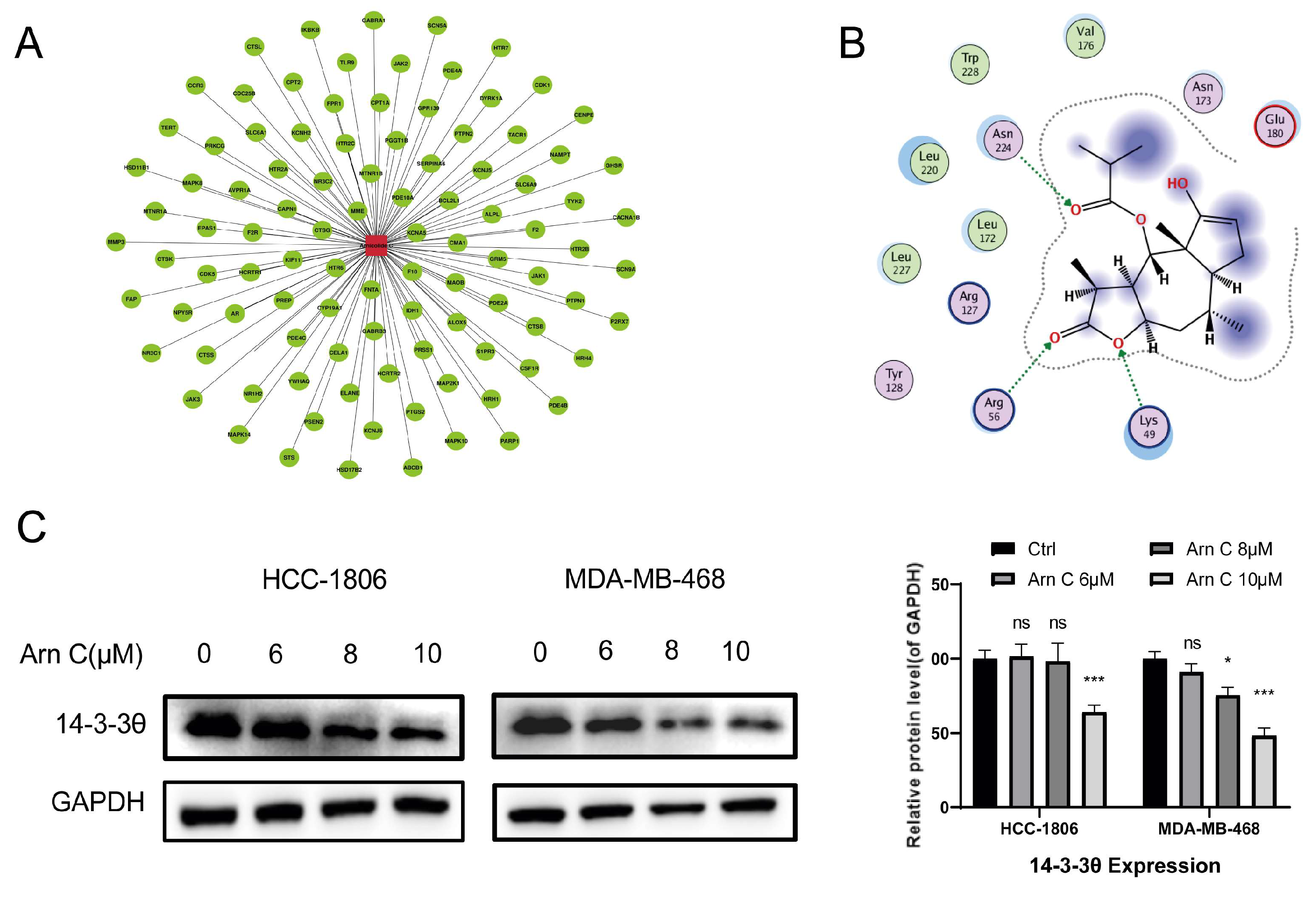 Pharmaceuticals 17 00224 g003 Pharmaceuticals 17 00224 g003