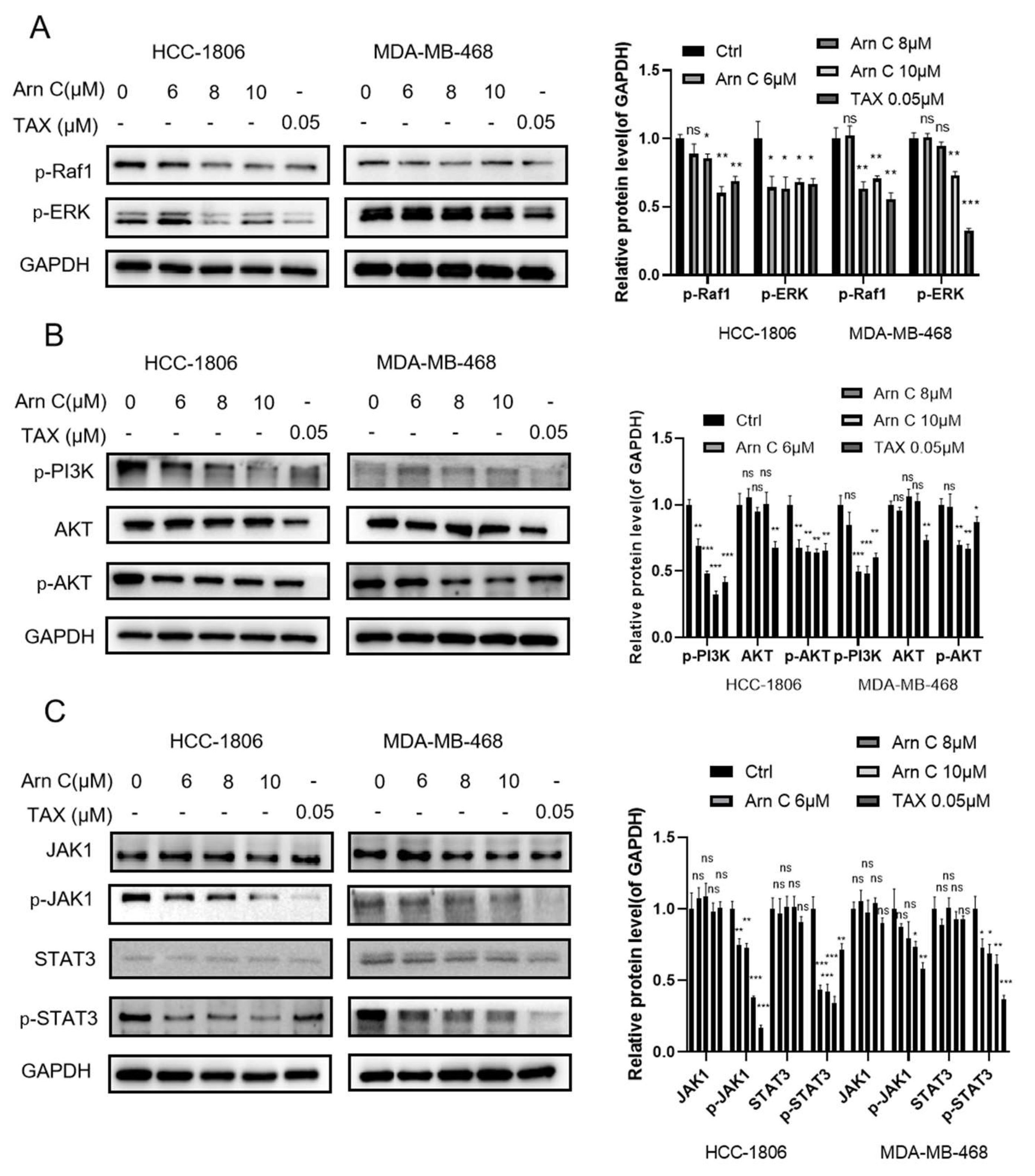 Pharmaceuticals 17 00224 g004 Pharmaceuticals 17 00224 g004