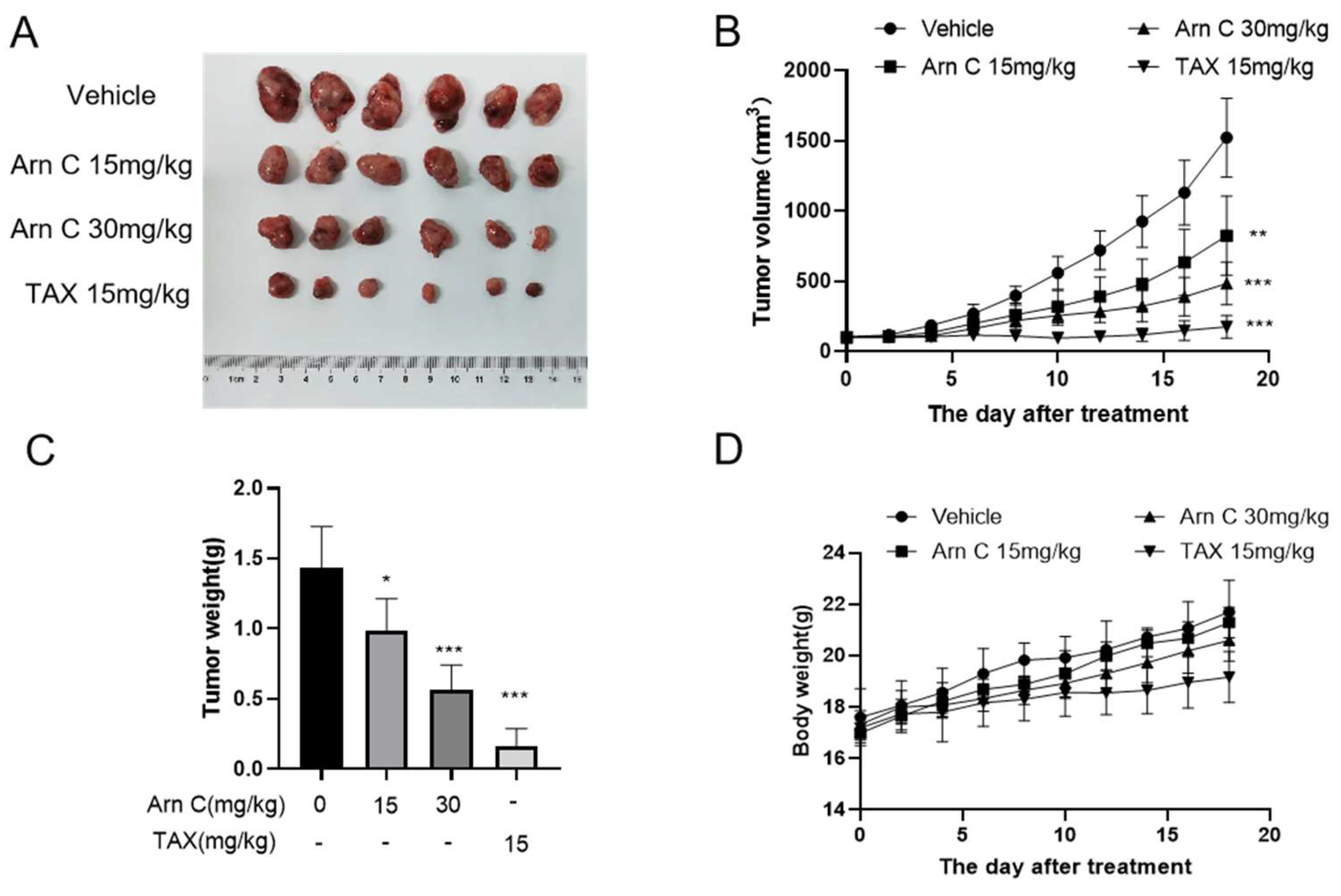 Pharmaceuticals 17 00224 g005 Pharmaceuticals 17 00224 g005
