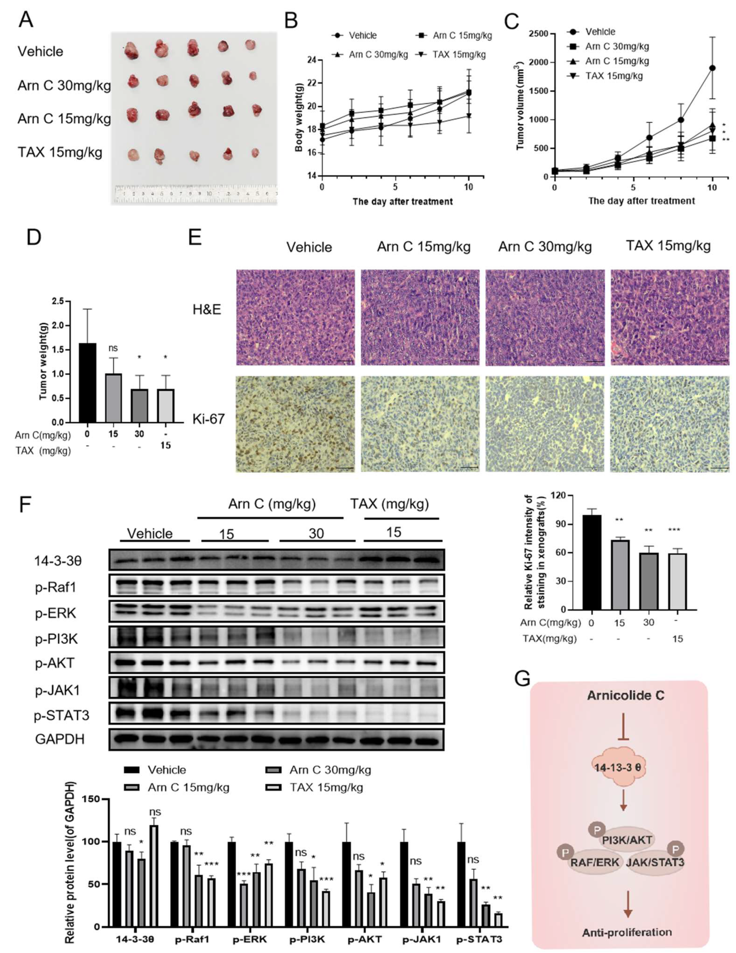 Pharmaceuticals 17 00224 g006 Pharmaceuticals 17 00224 g006
