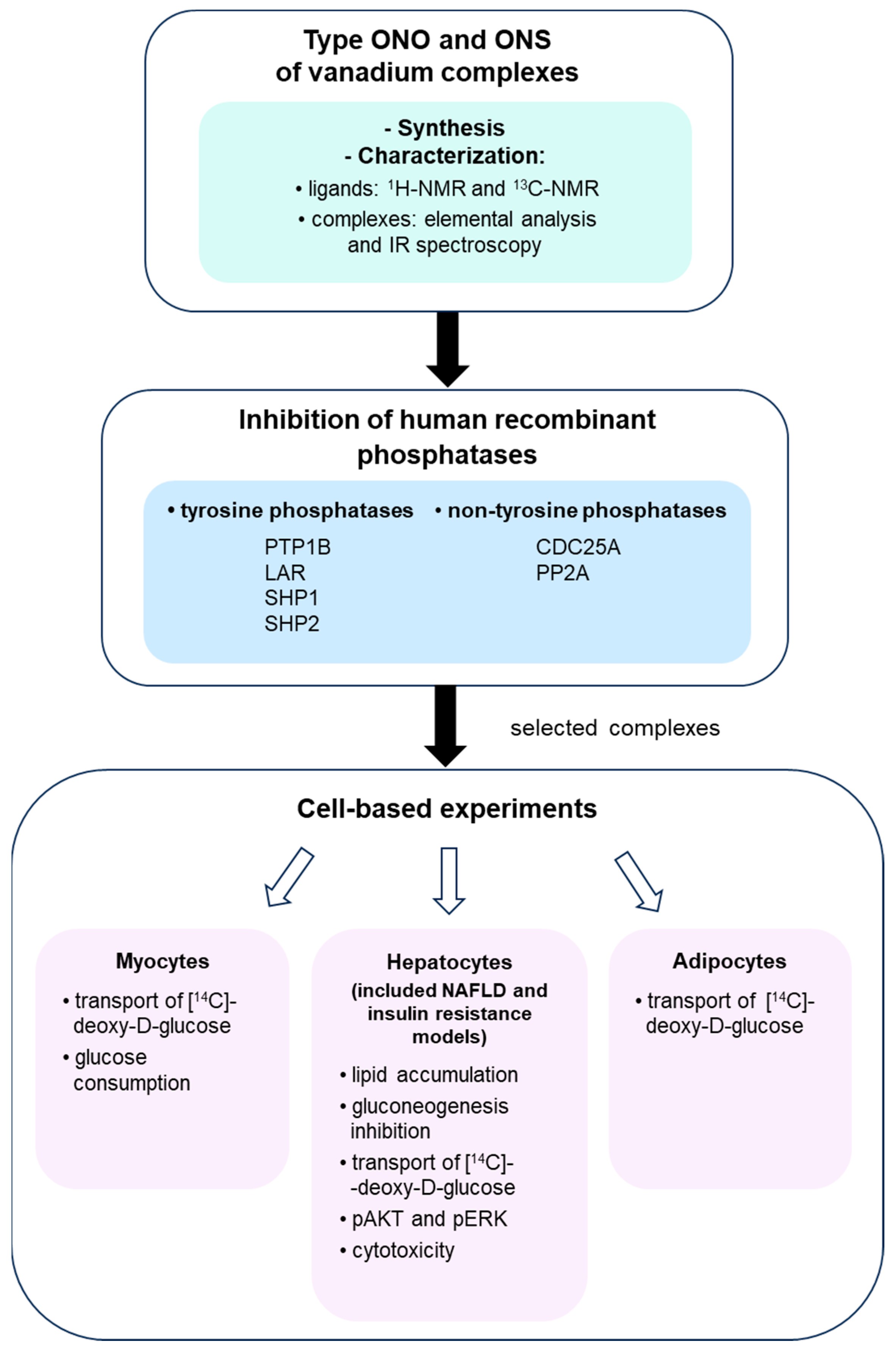 Pharmaceuticals 17 00229 sch001