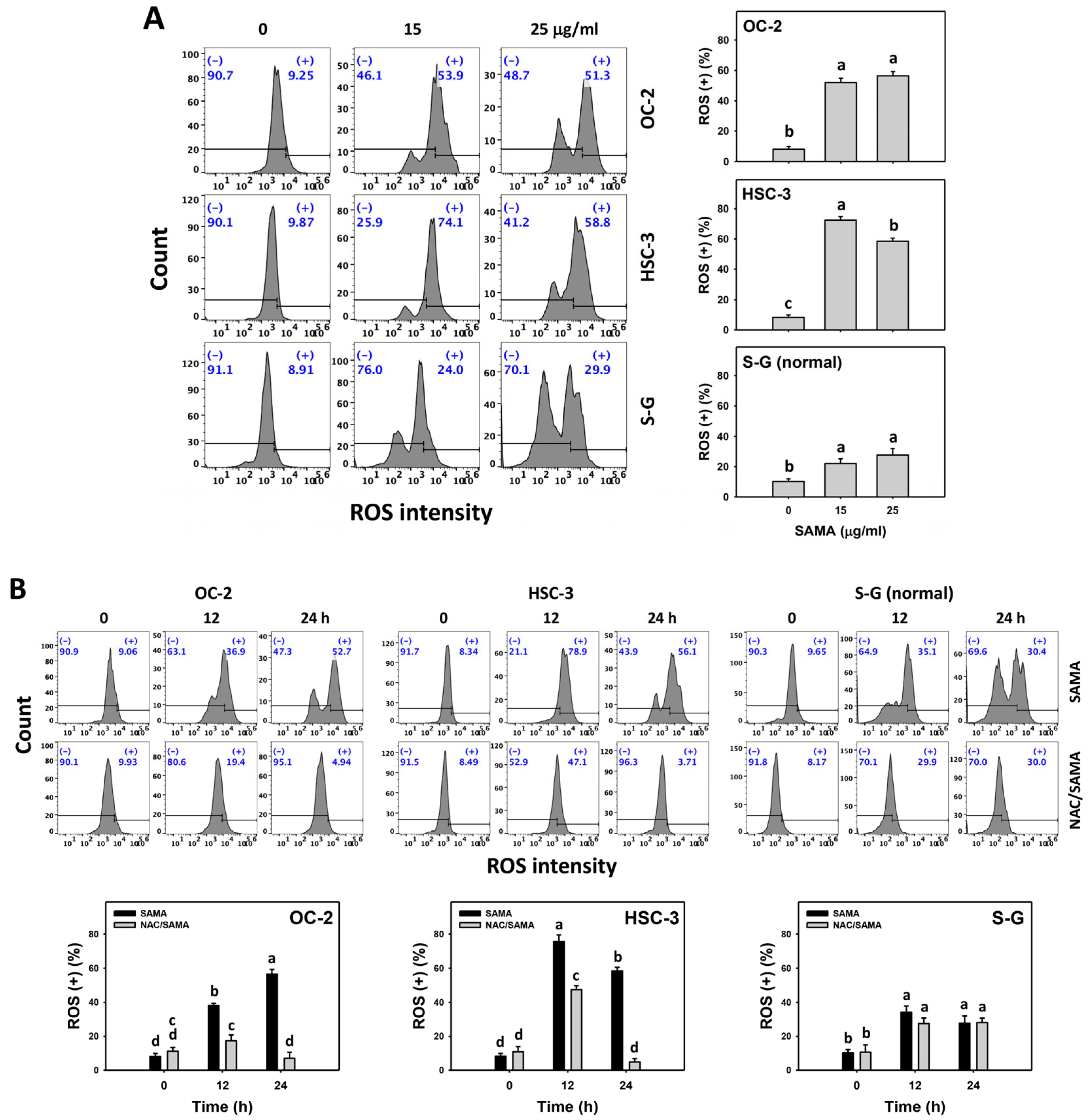 Pharmaceuticals 17 00230 g006