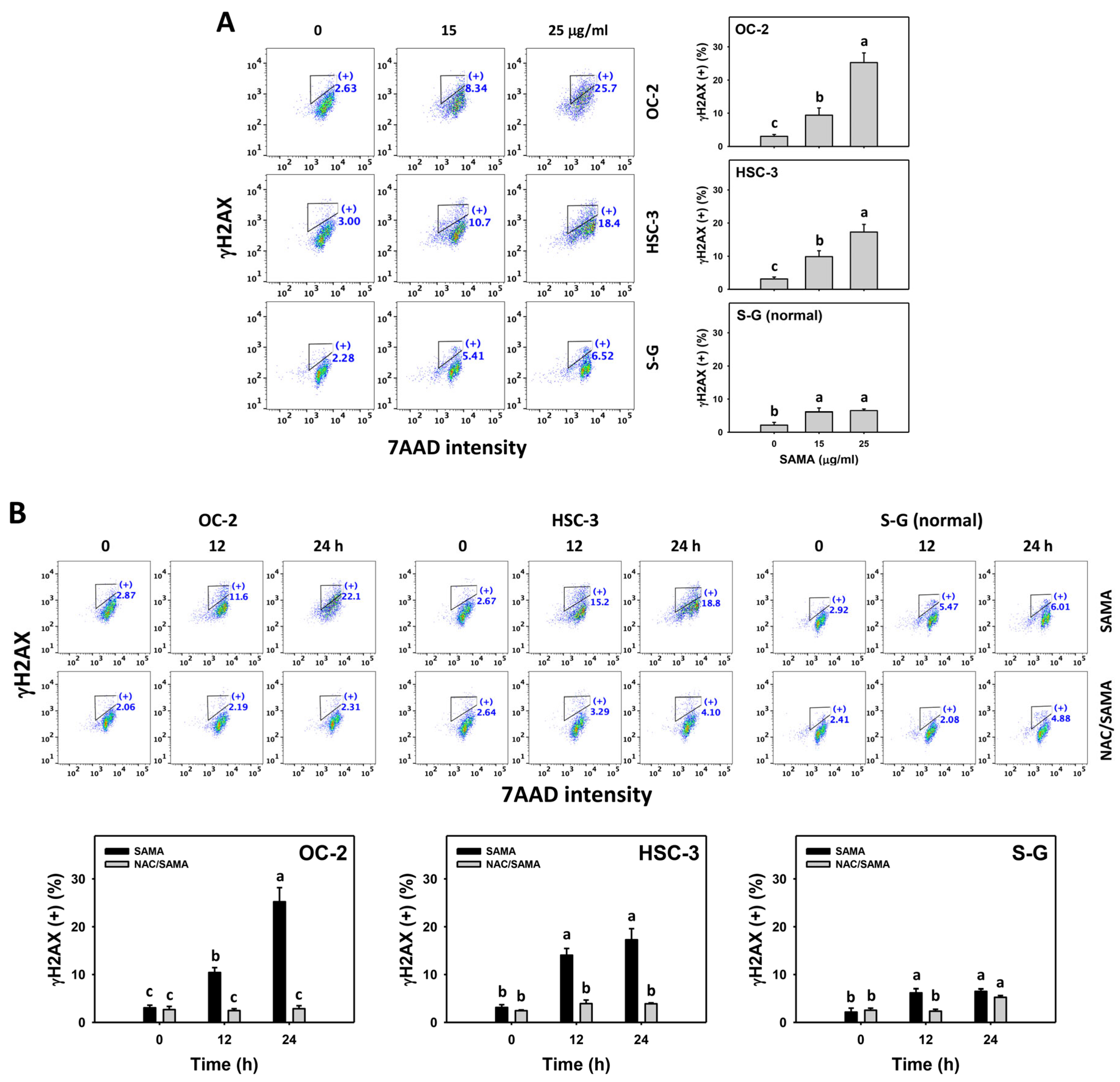 Pharmaceuticals 17 00230 g010