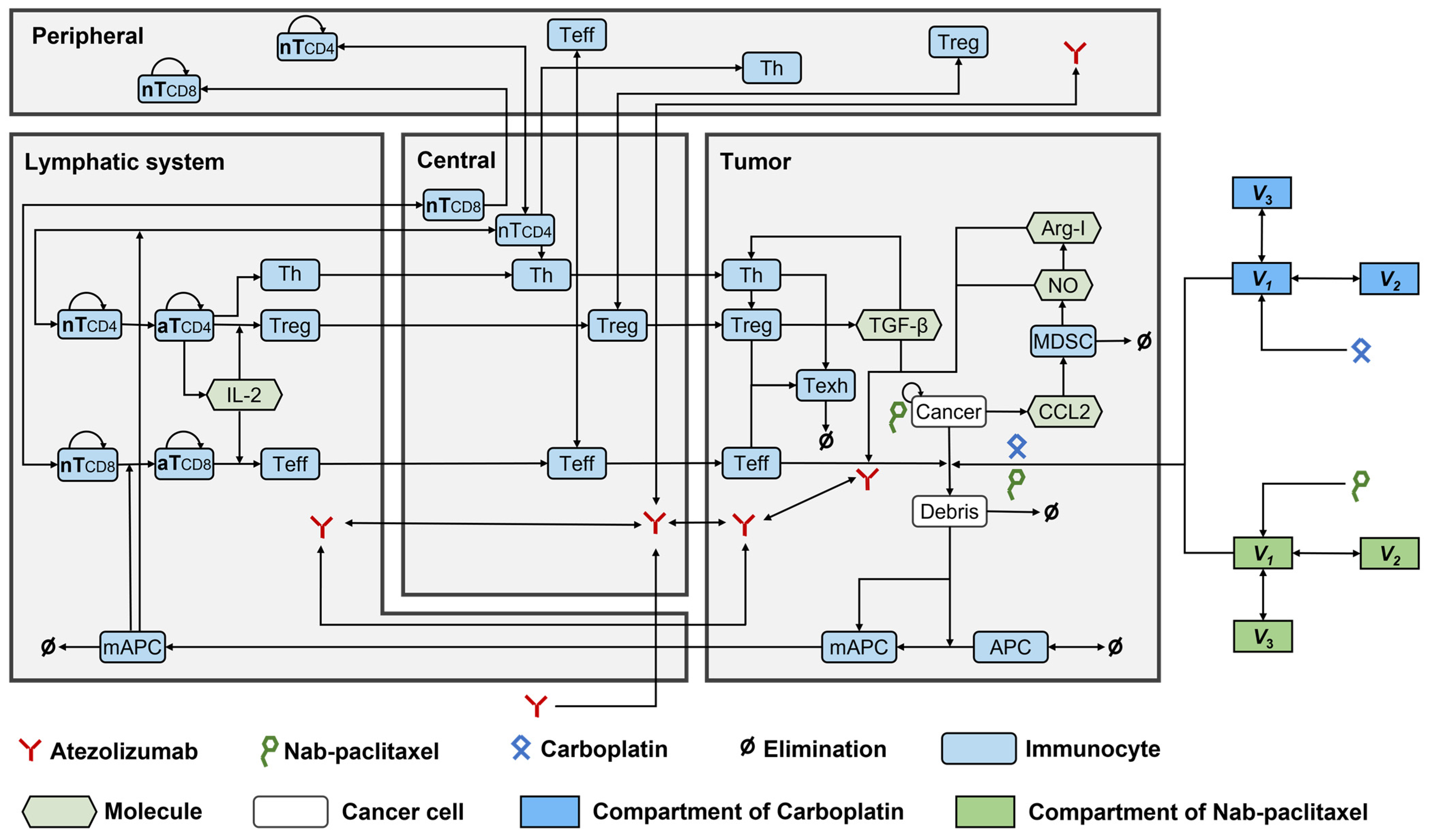 Pharmaceuticals 17 00238 g005