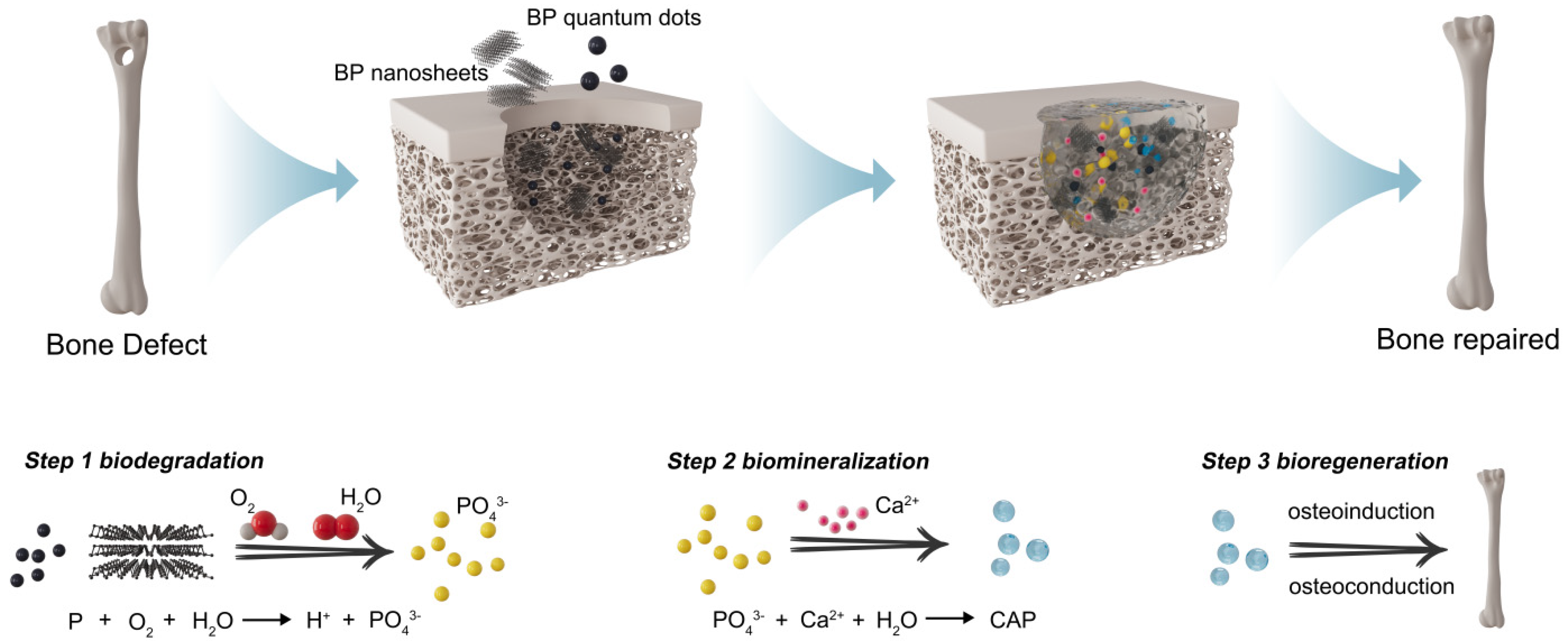 Pharmaceuticals 17 00242 g002