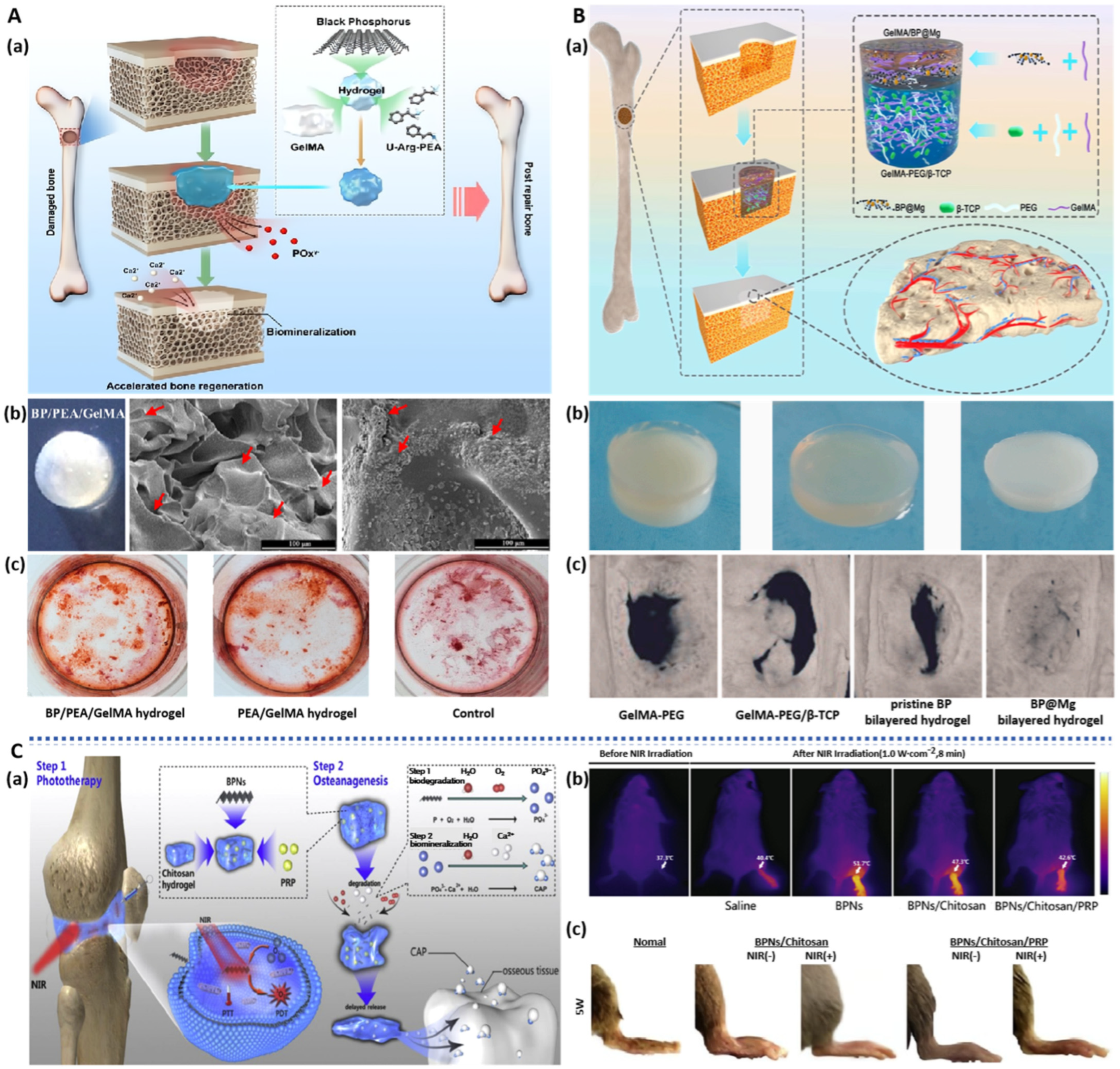 Pharmaceuticals 17 00242 g003