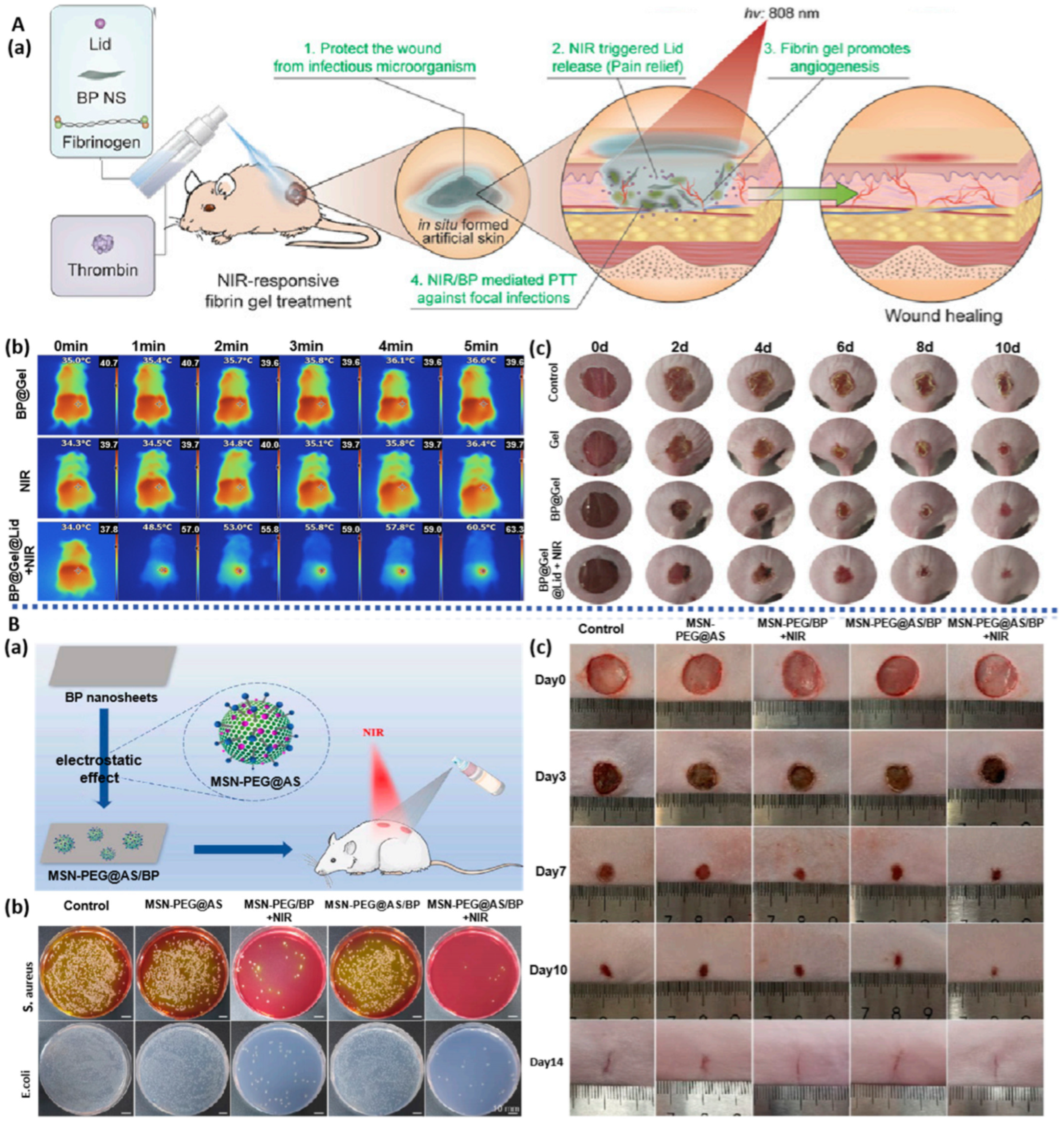 Pharmaceuticals 17 00242 g005