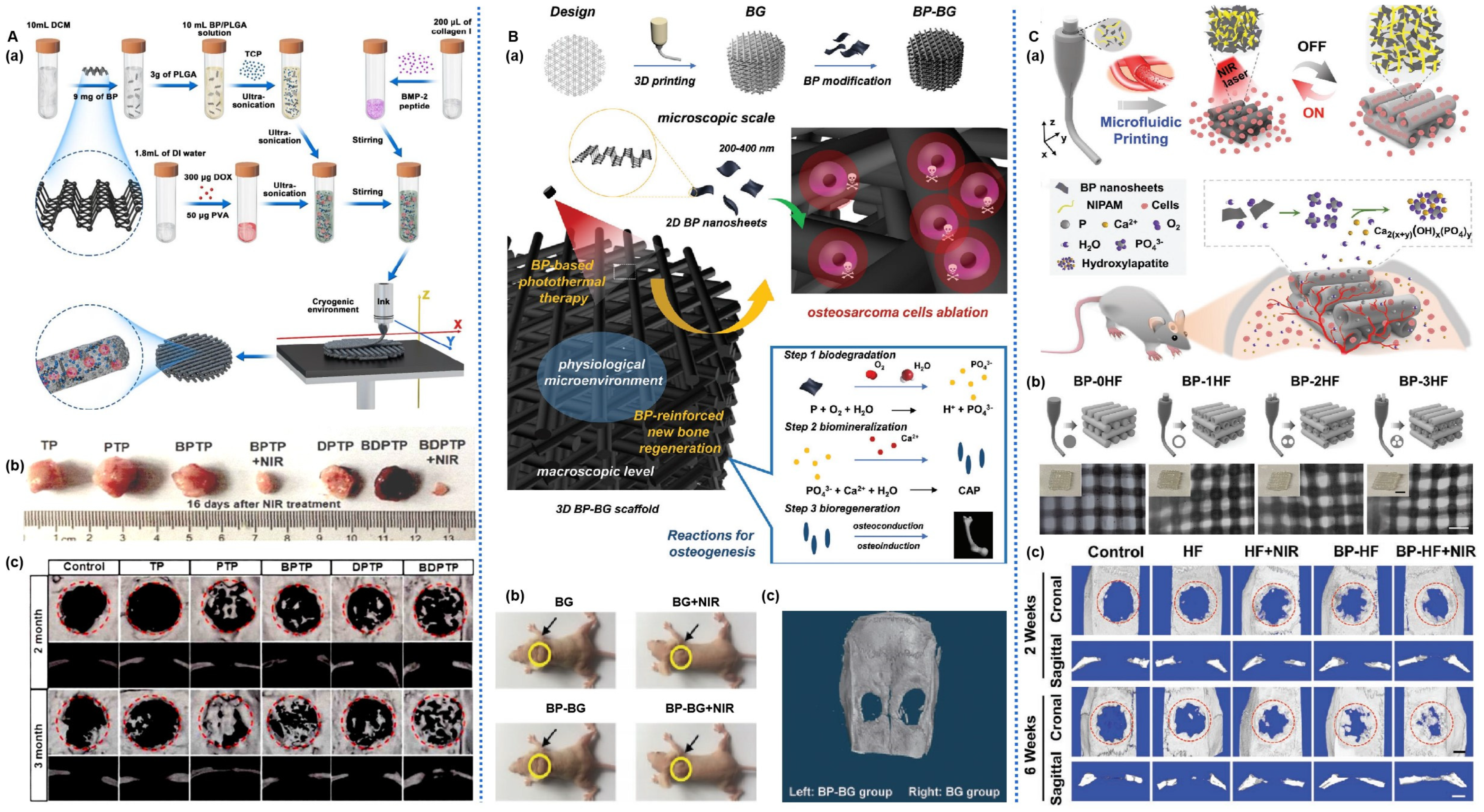 Pharmaceuticals 17 00242 g006