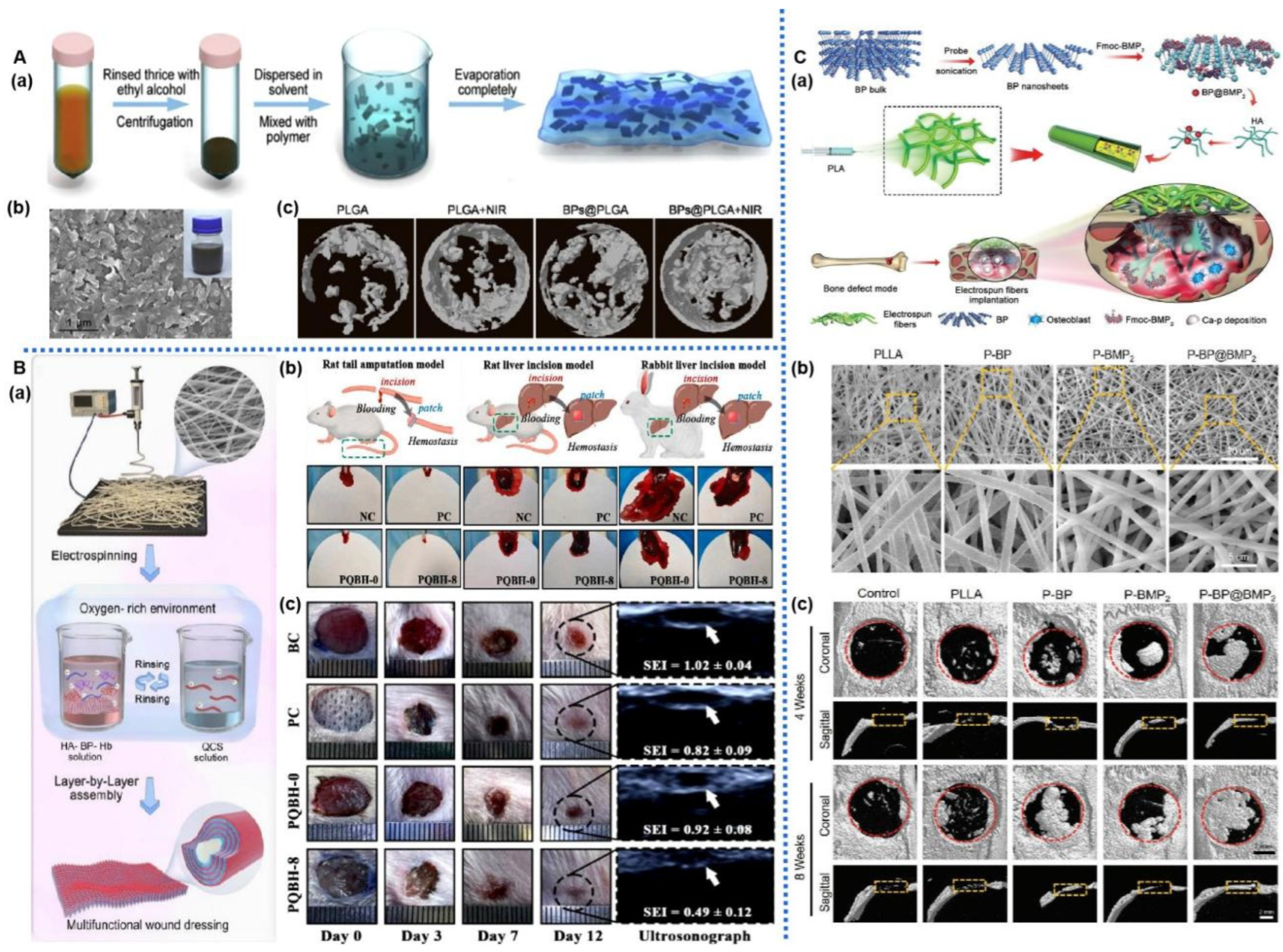 Pharmaceuticals 17 00242 g007