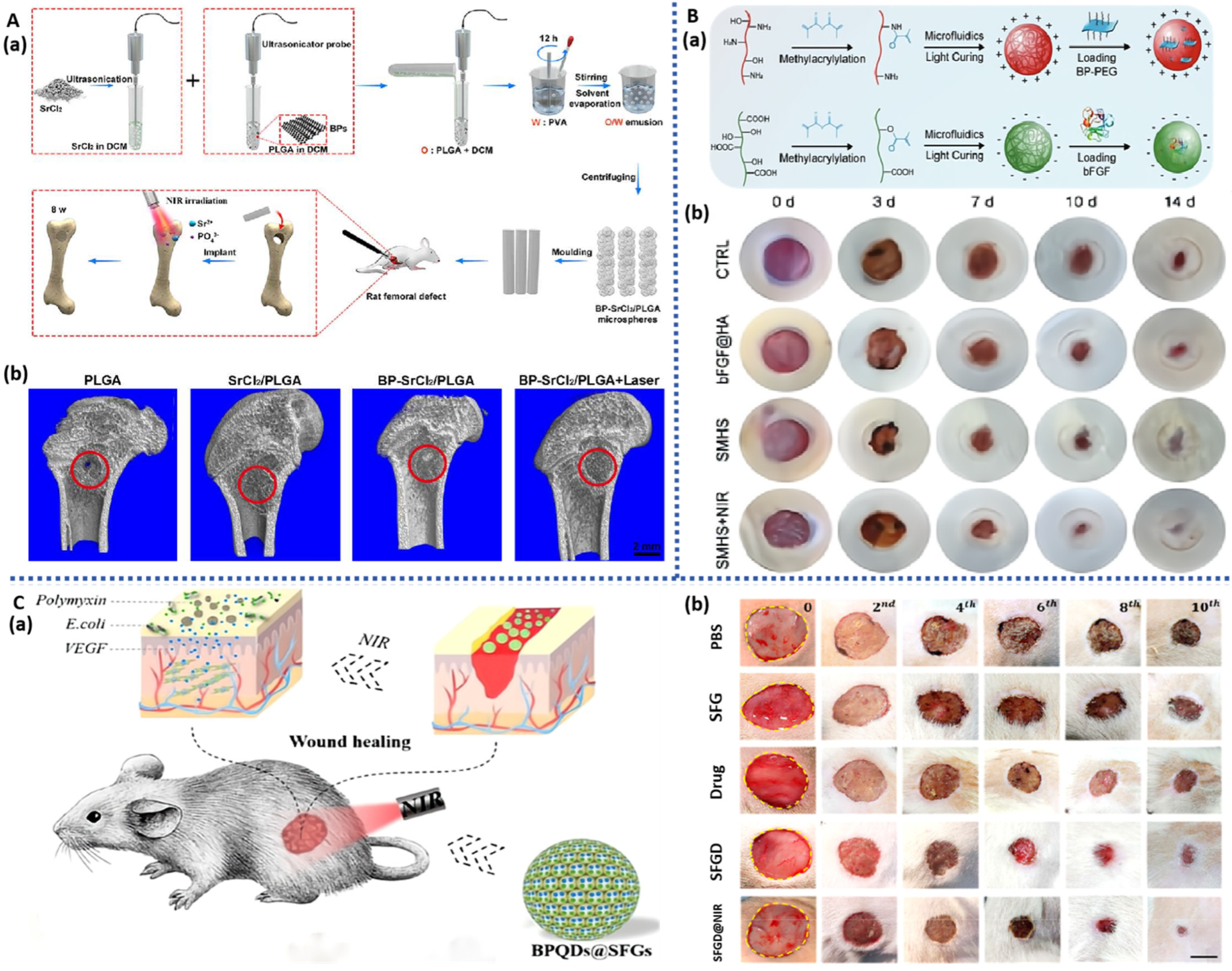 Pharmaceuticals 17 00242 g008