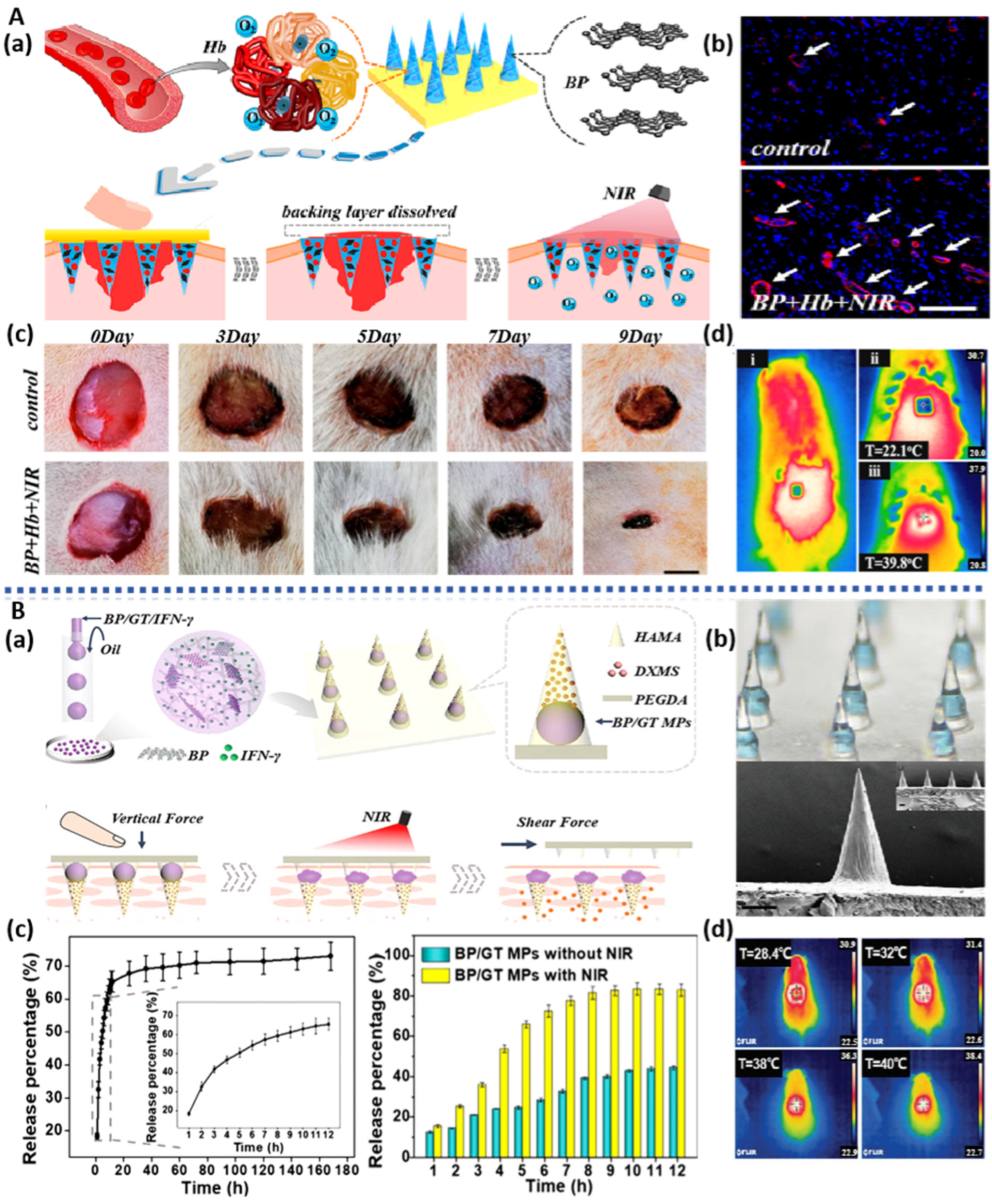 Pharmaceuticals 17 00242 g009