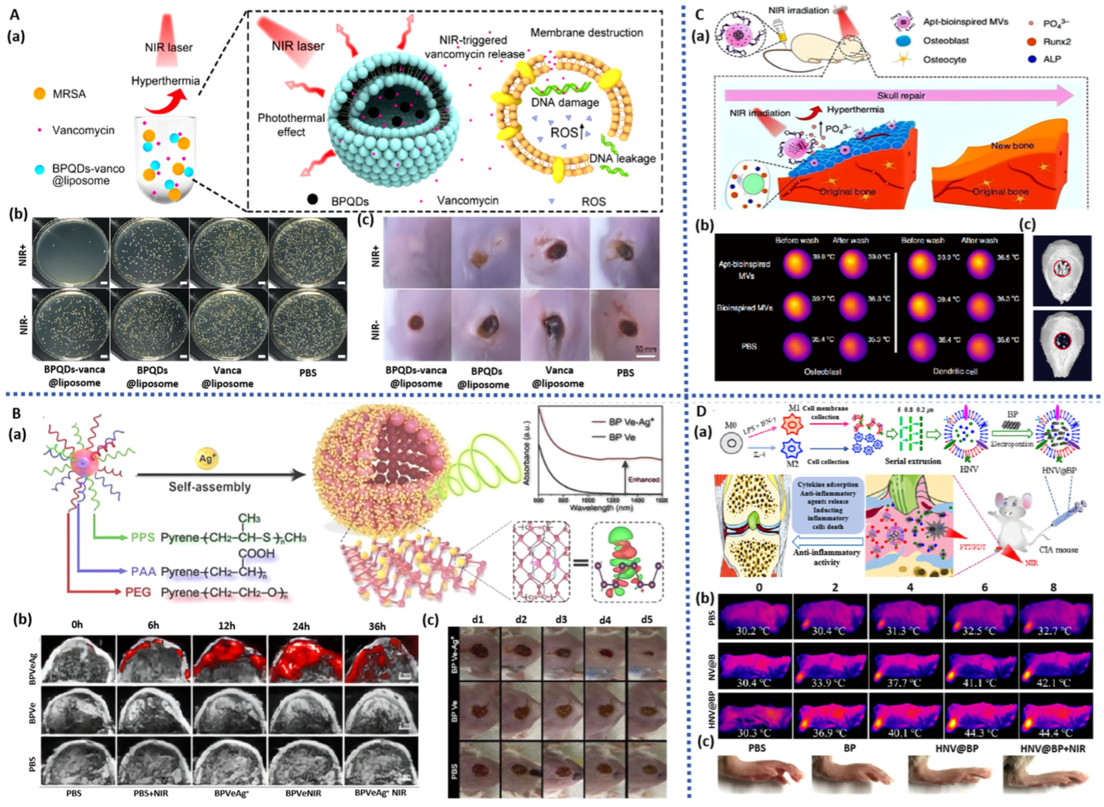 Pharmaceuticals 17 00242 g010