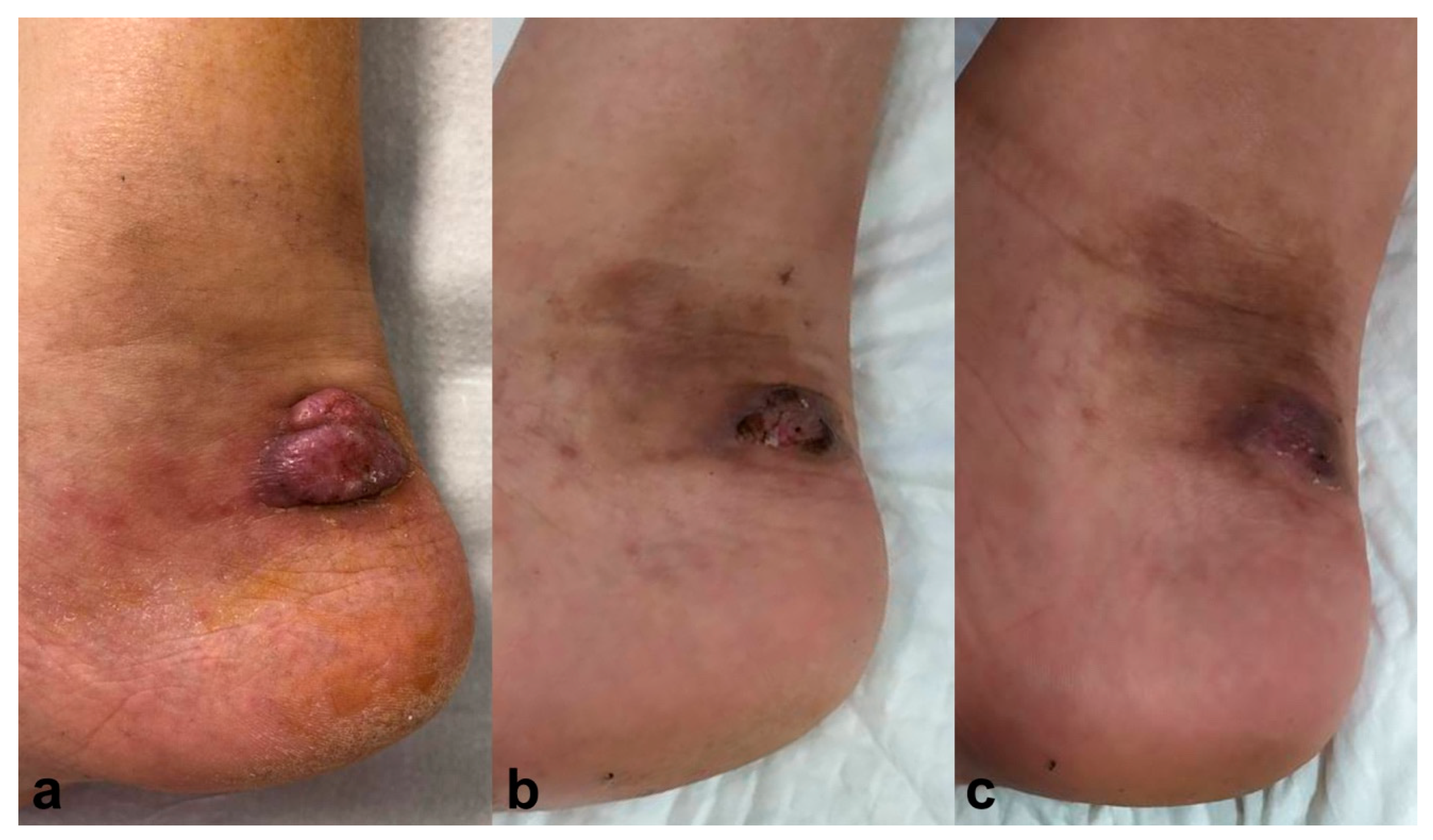 Pharmaceuticals 17 00245 g002