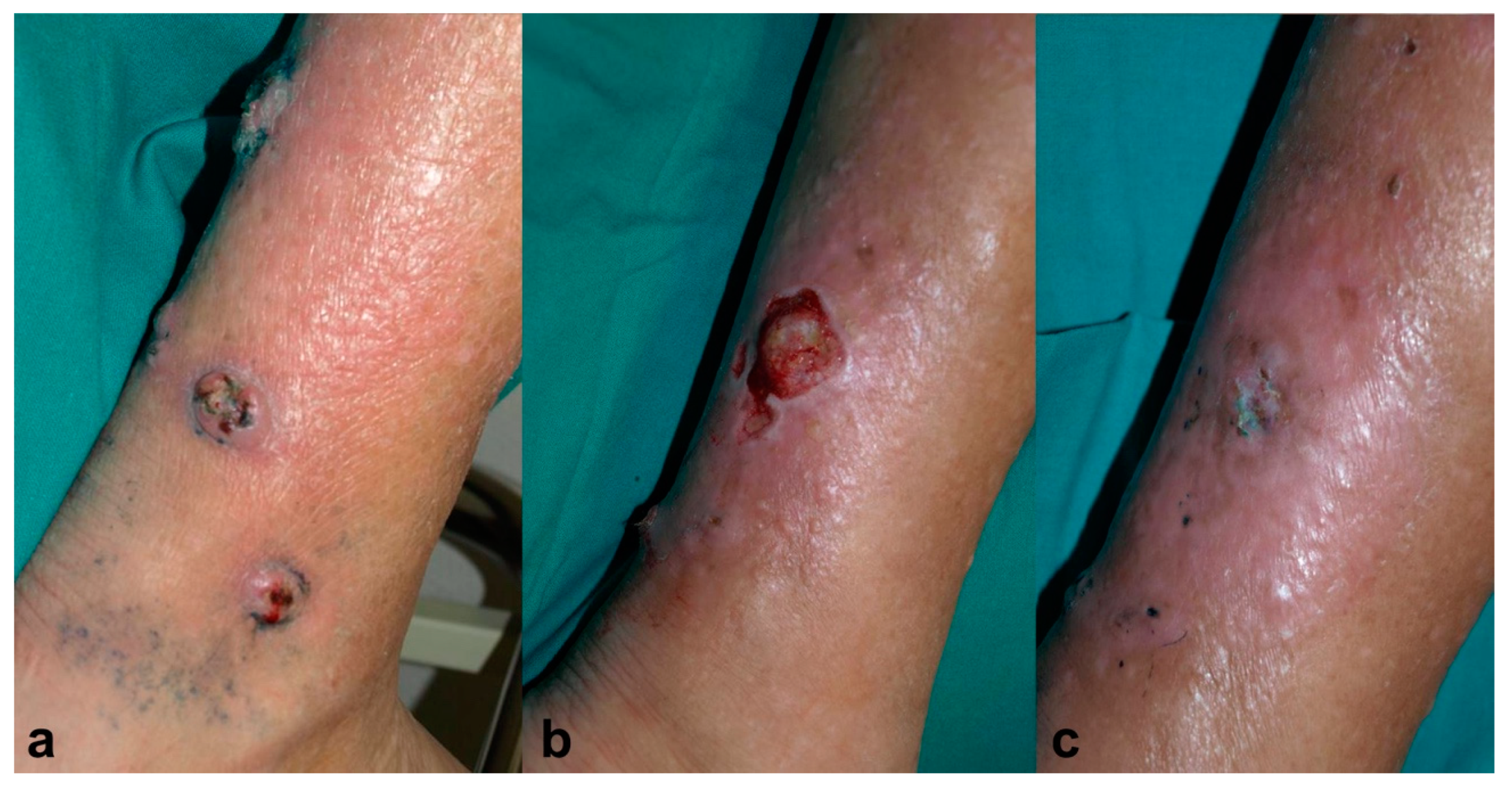 Pharmaceuticals 17 00245 g003