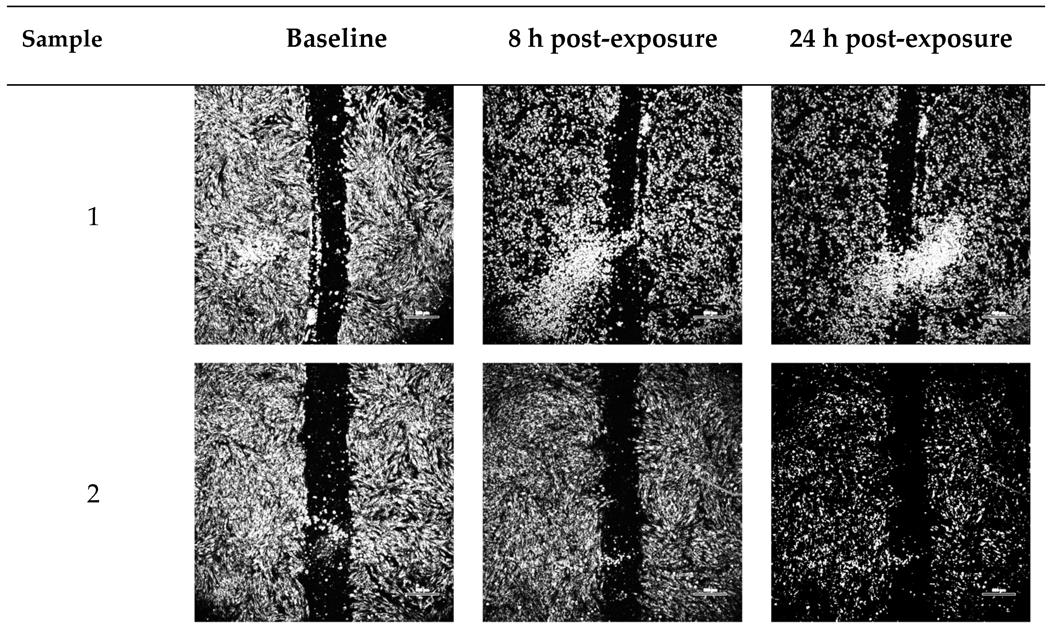 Pharmaceuticals 17 00247 g003a
