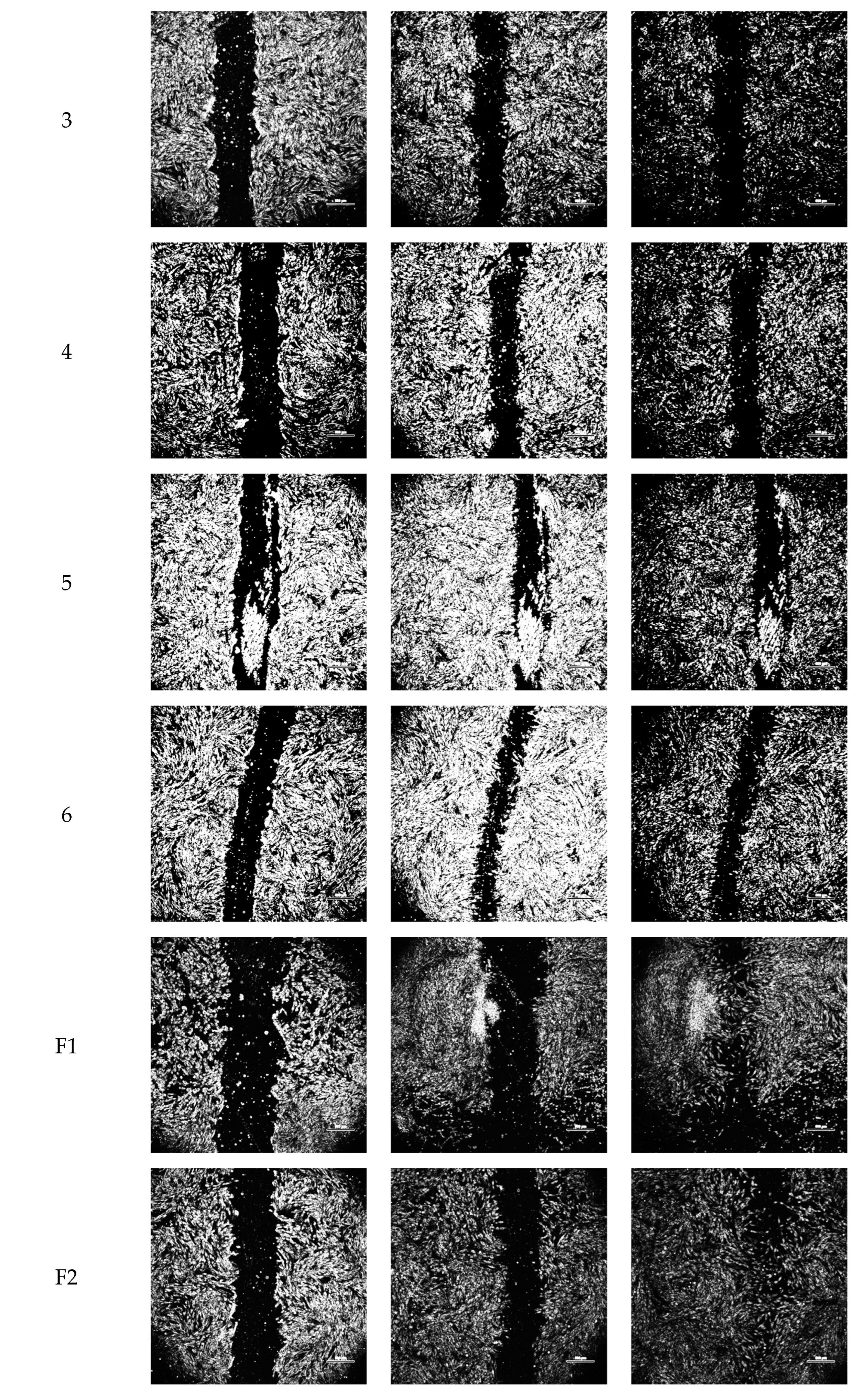 Pharmaceuticals 17 00247 g003b