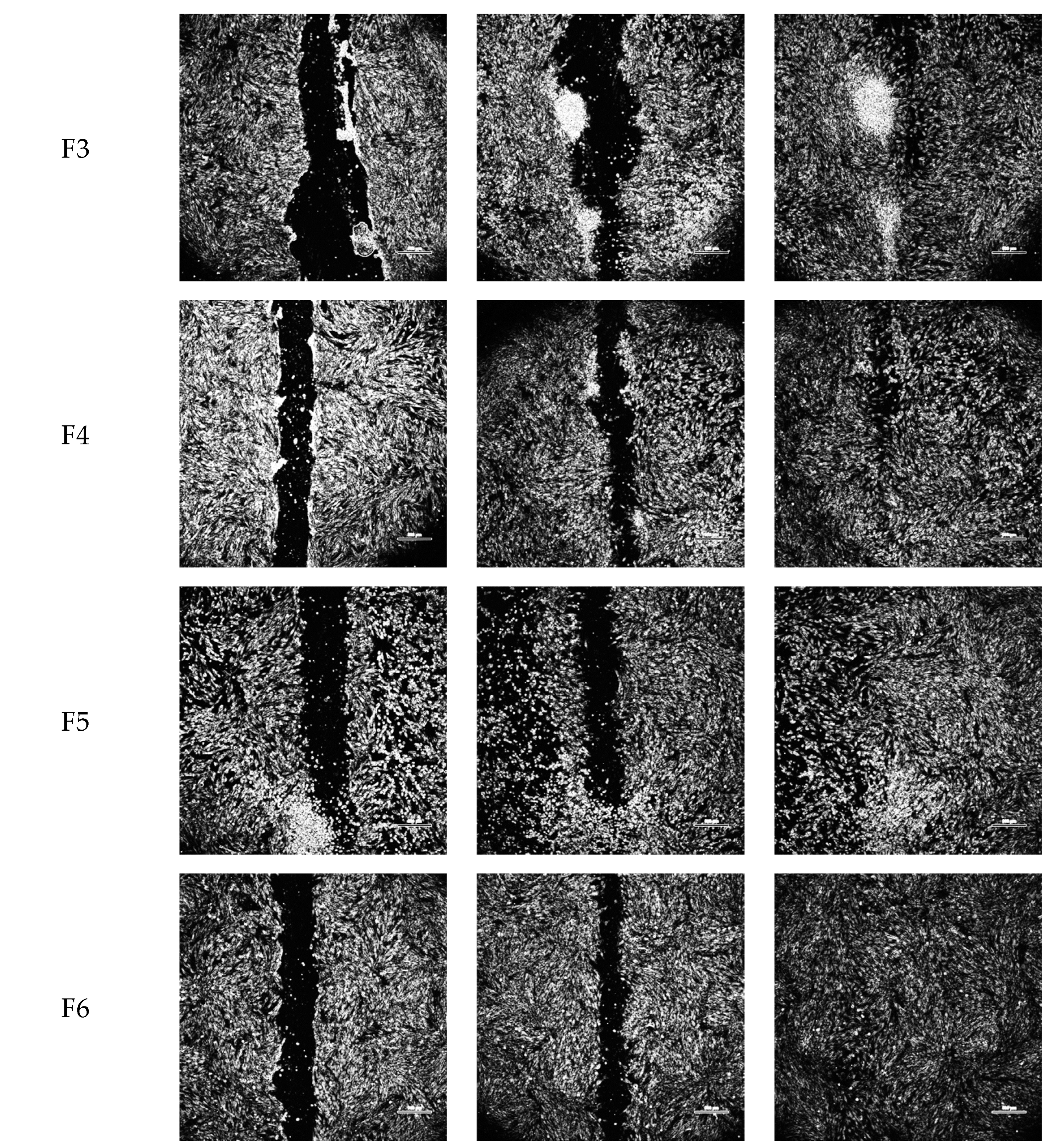 Pharmaceuticals 17 00247 g003c