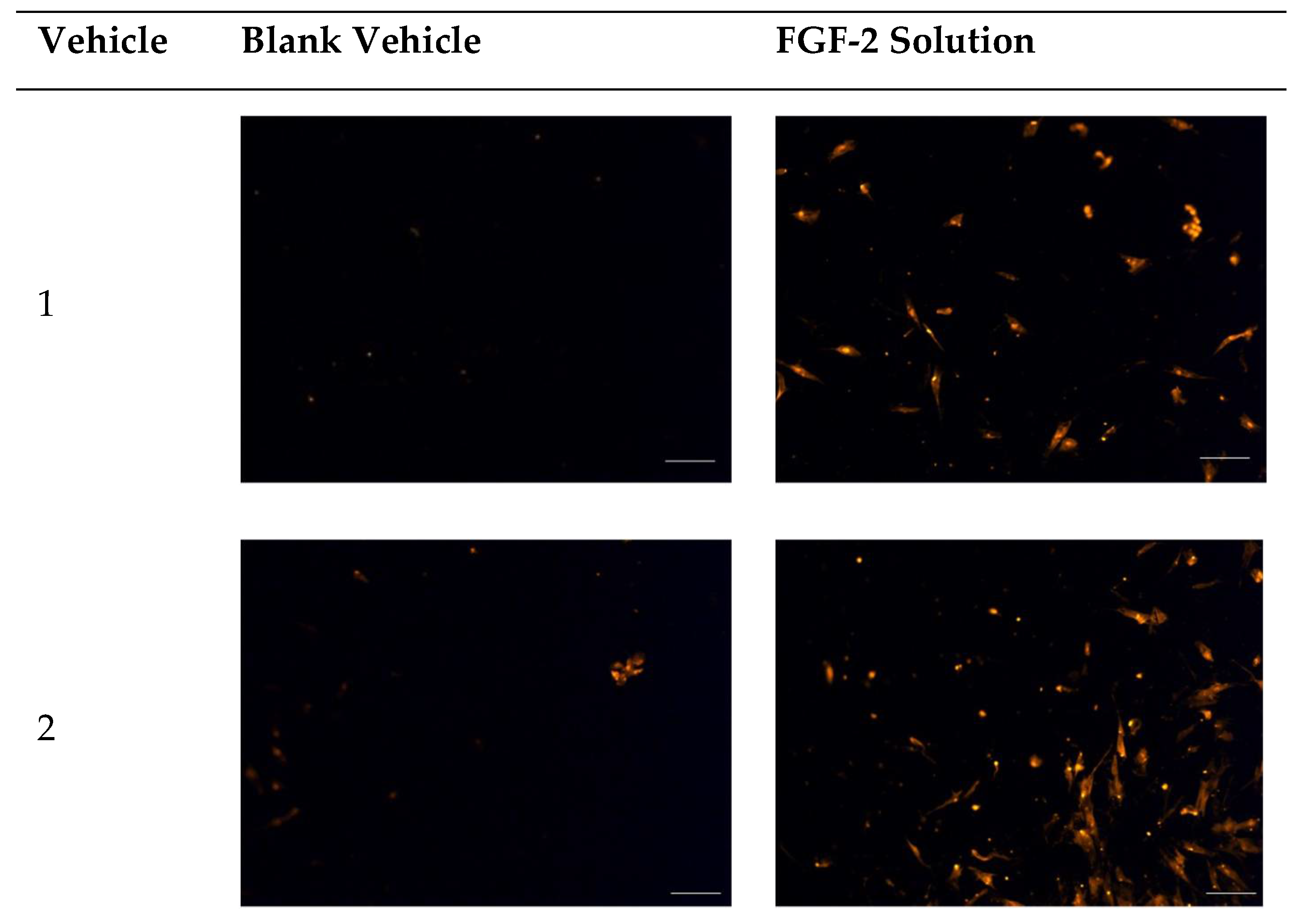 Pharmaceuticals 17 00247 g005a