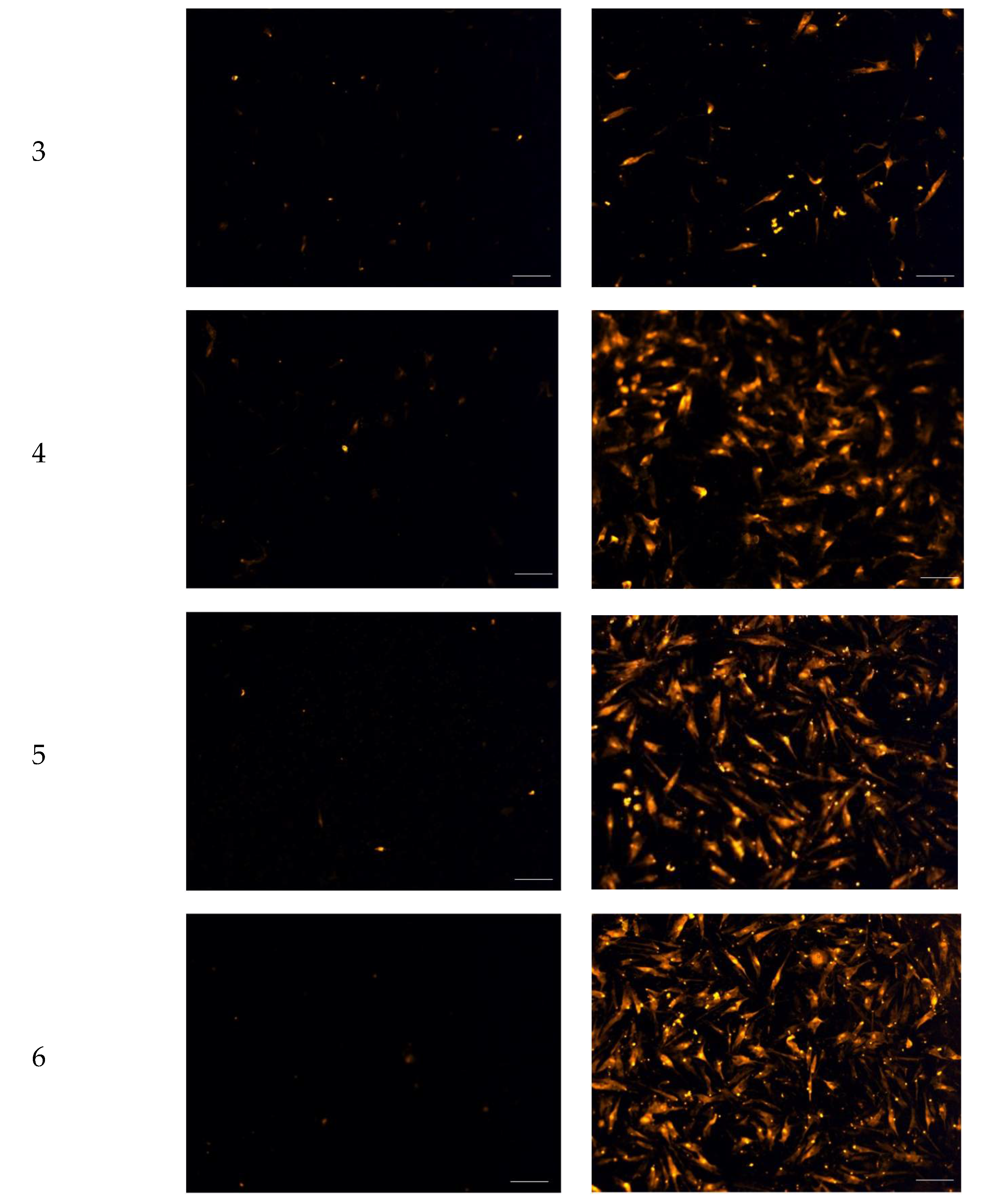 Pharmaceuticals 17 00247 g005b