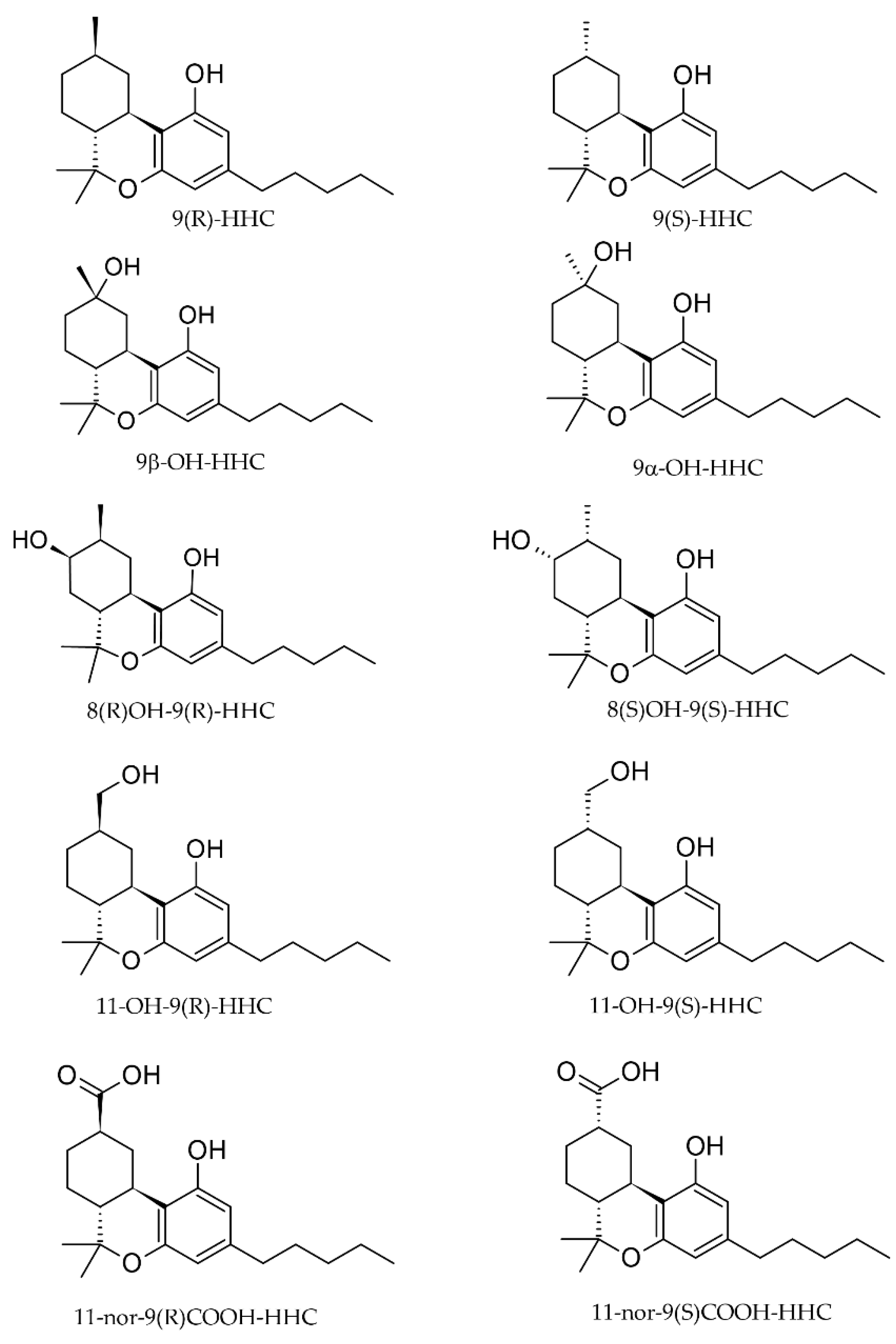 Pharmaceuticals 17 00249 g001