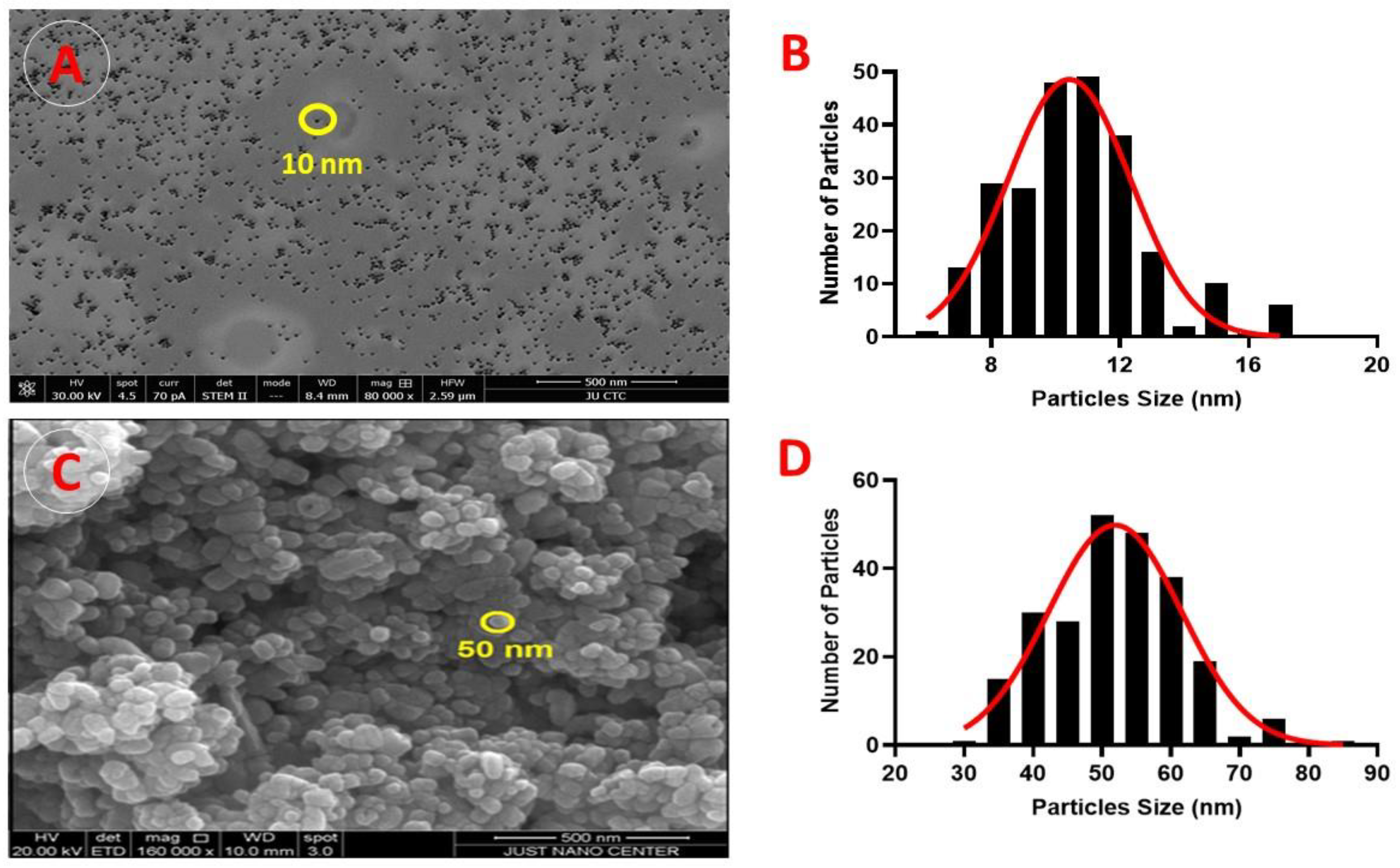 Pharmaceuticals 17 00255 g002 Pharmaceuticals 17 00255 g002