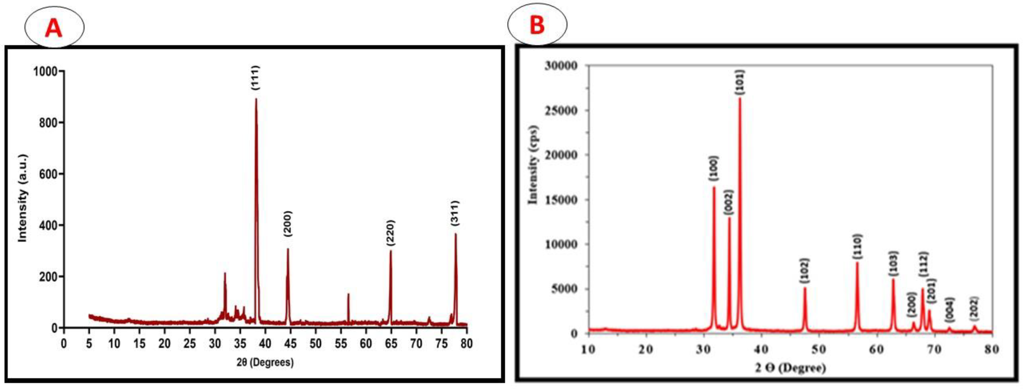 Pharmaceuticals 17 00255 g003 Pharmaceuticals 17 00255 g003