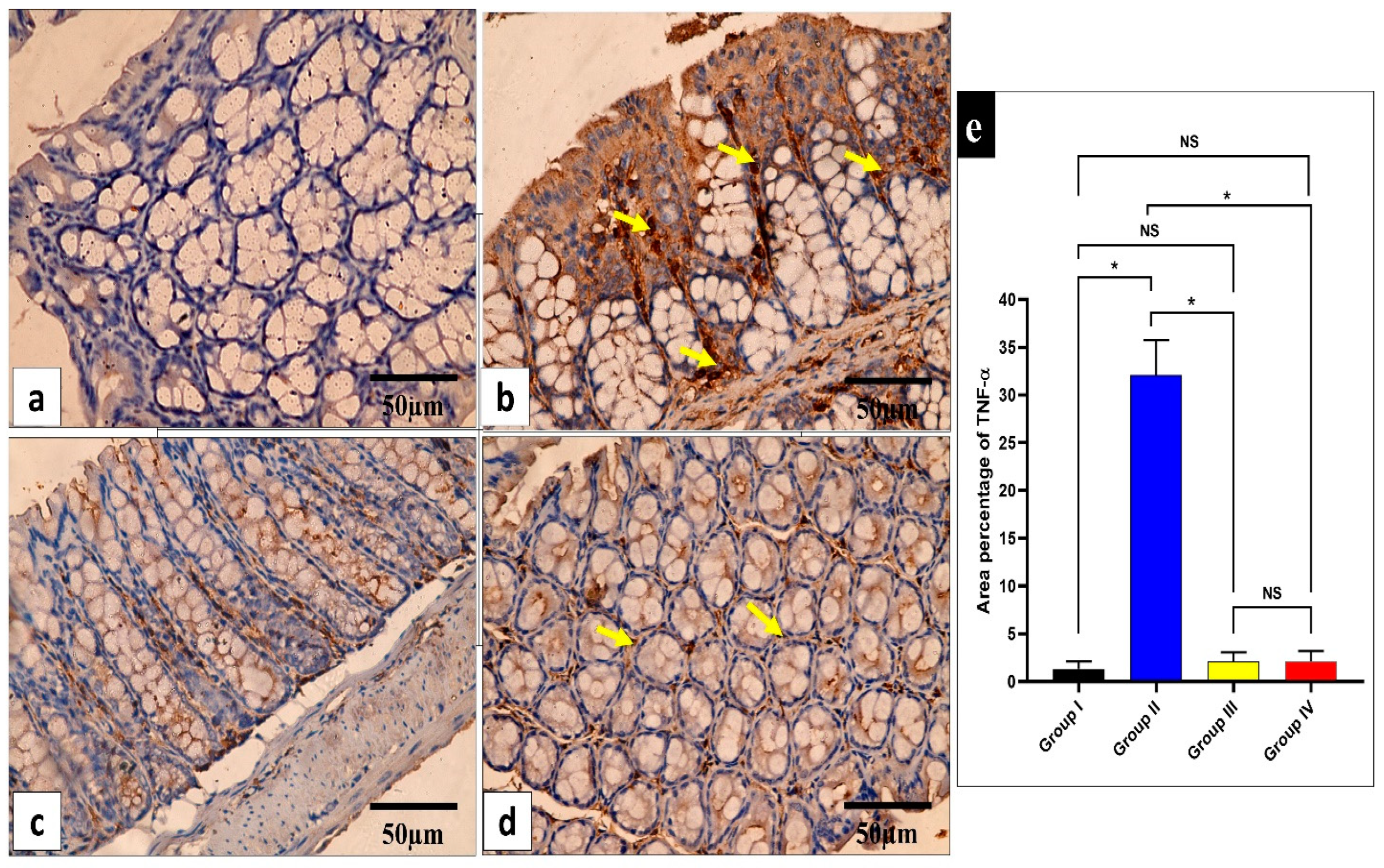 Pharmaceuticals 17 00259 g009