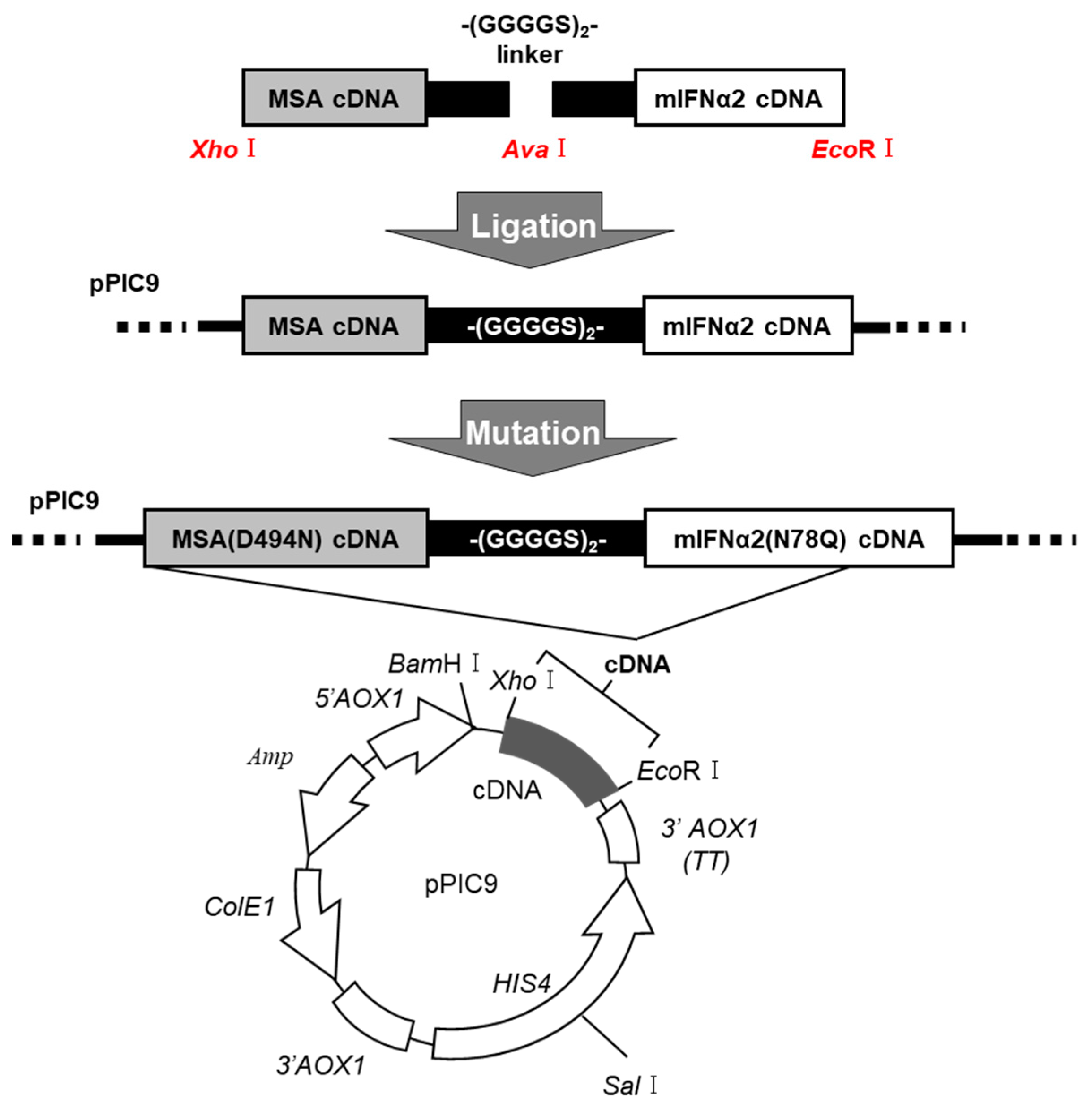 Pharmaceuticals 17 00260 g001