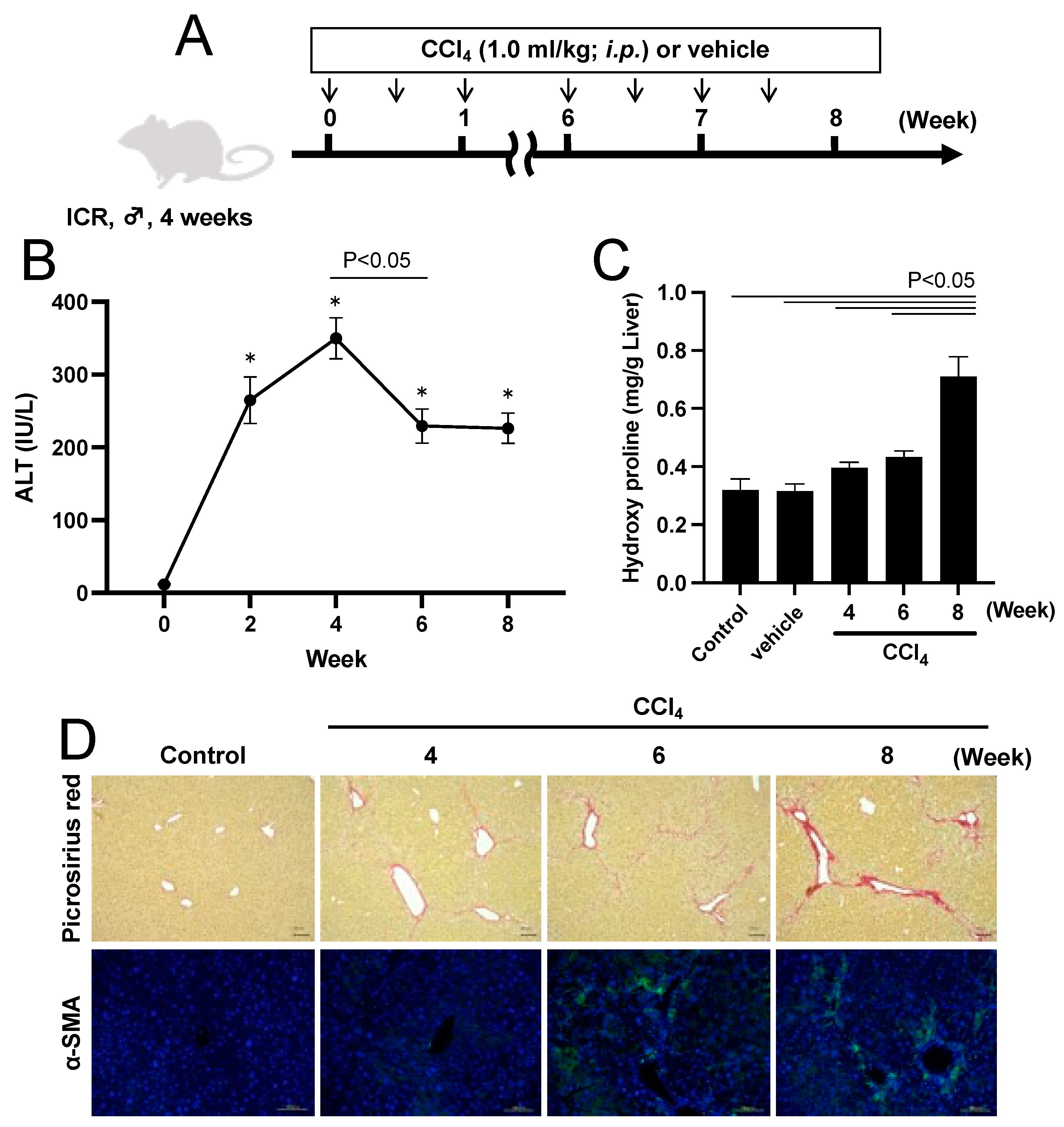 Pharmaceuticals 17 00260 g003