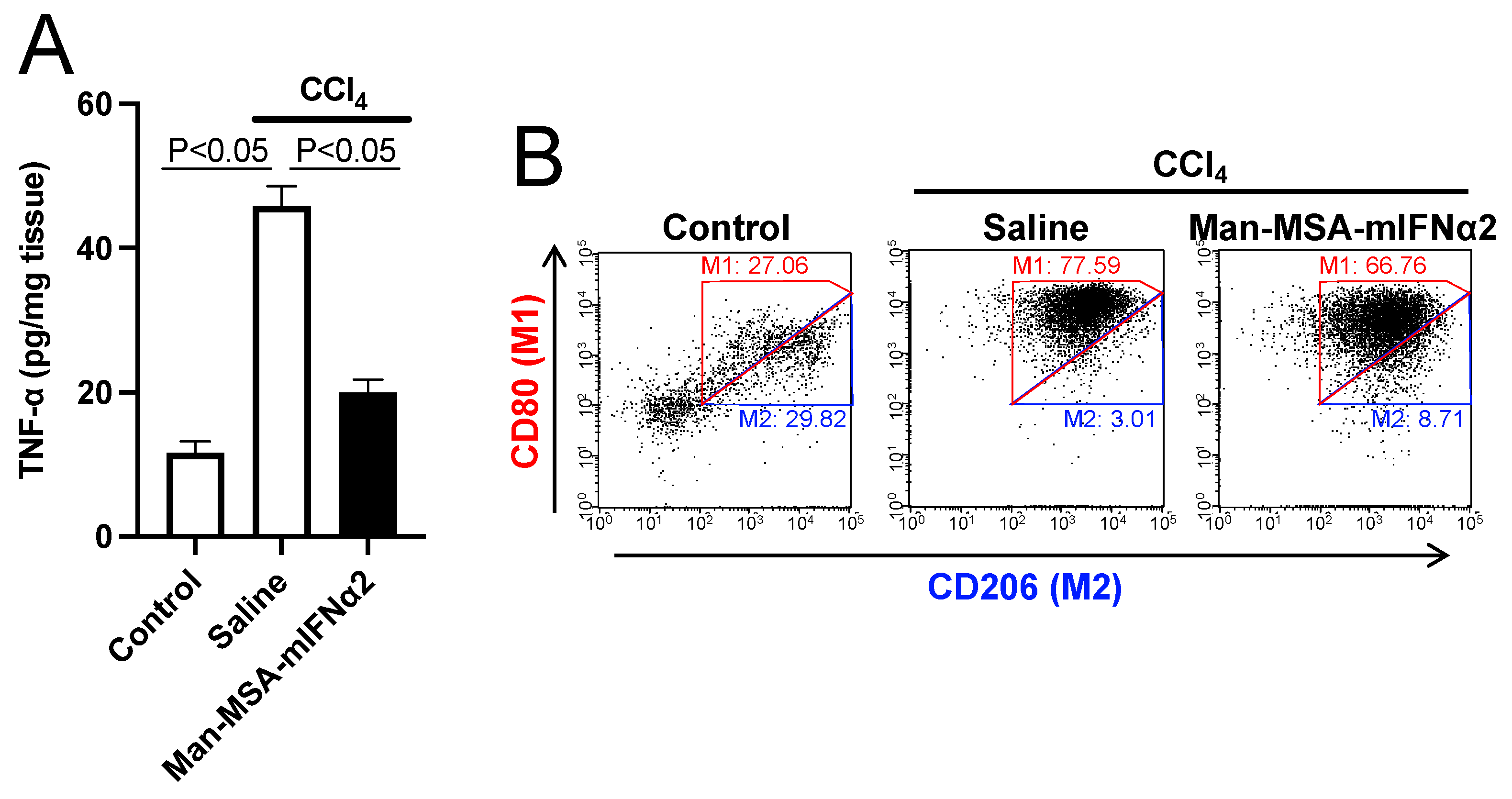 Pharmaceuticals 17 00260 g005
