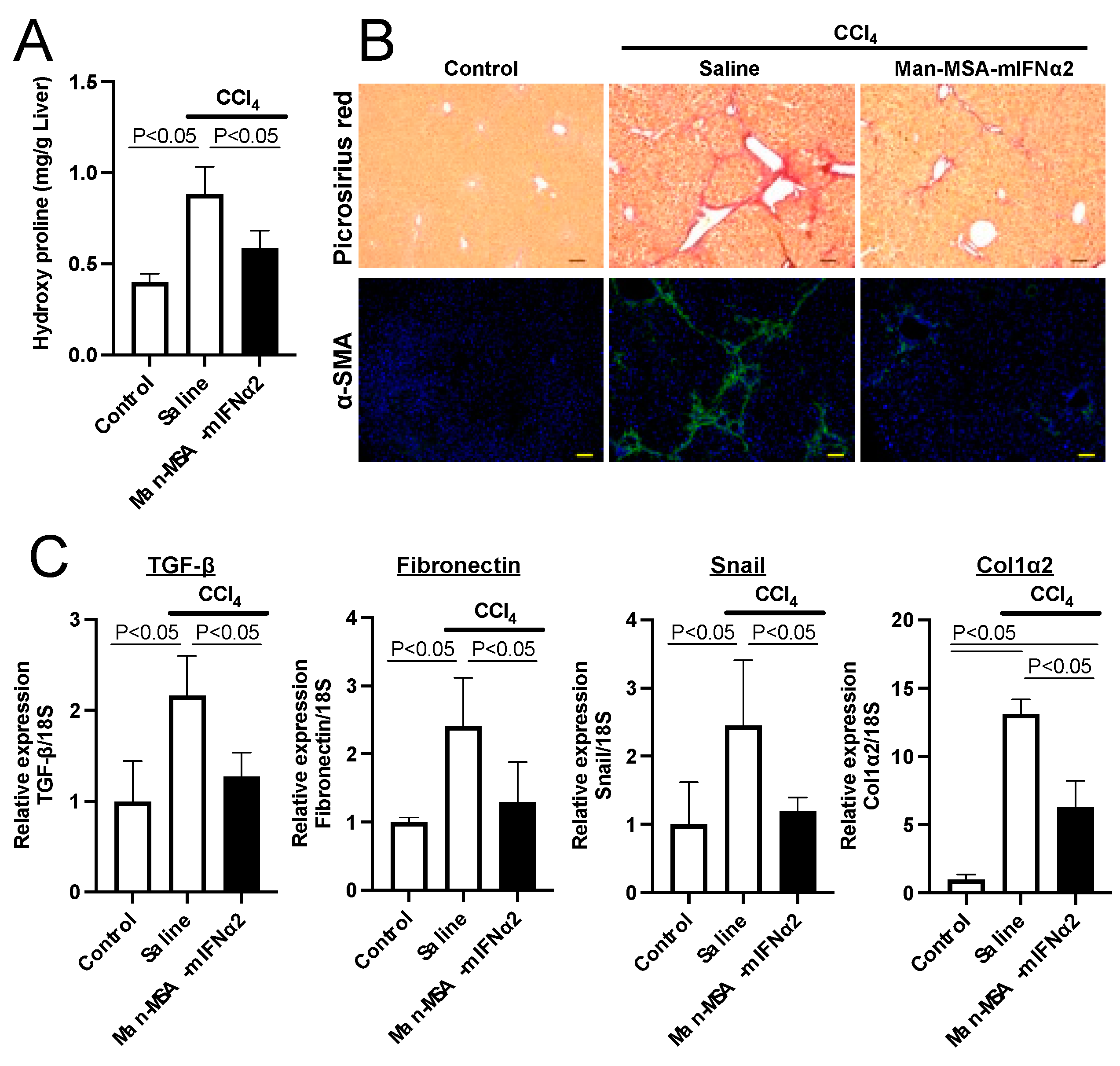 Pharmaceuticals 17 00260 g006
