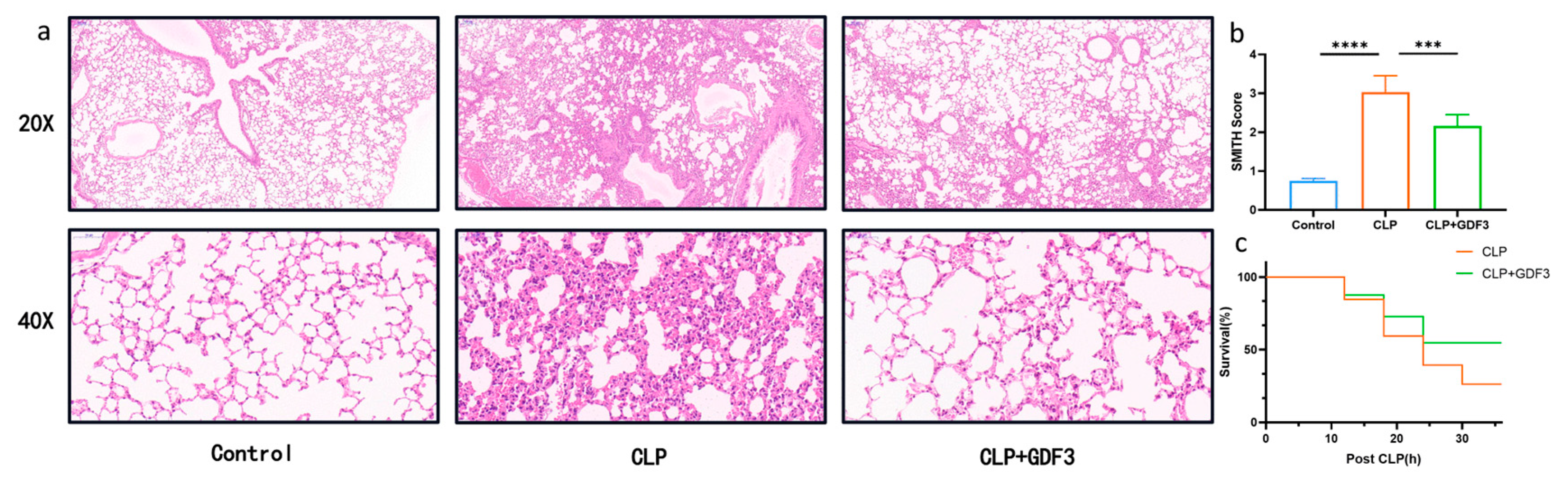 Pharmaceuticals 17 00268 g001