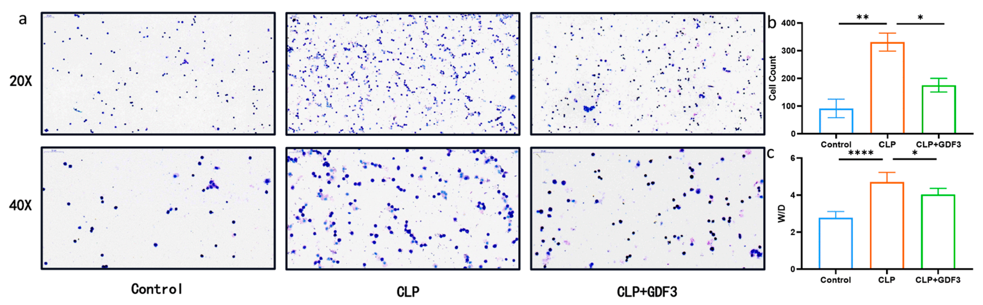 Pharmaceuticals 17 00268 g002