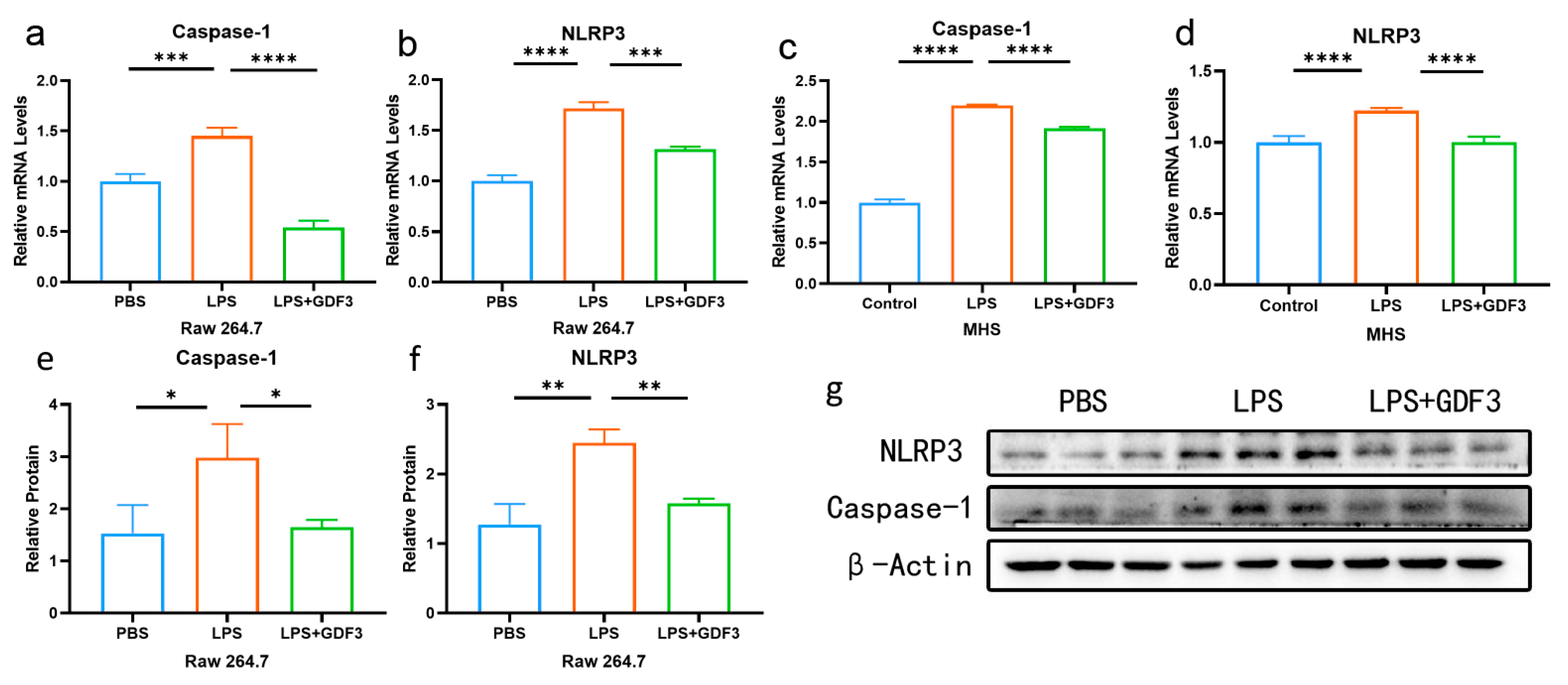 Pharmaceuticals 17 00268 g005