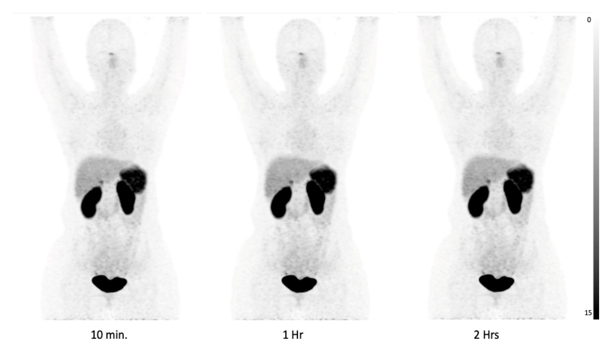 Pharmaceuticals 17 00275 g002