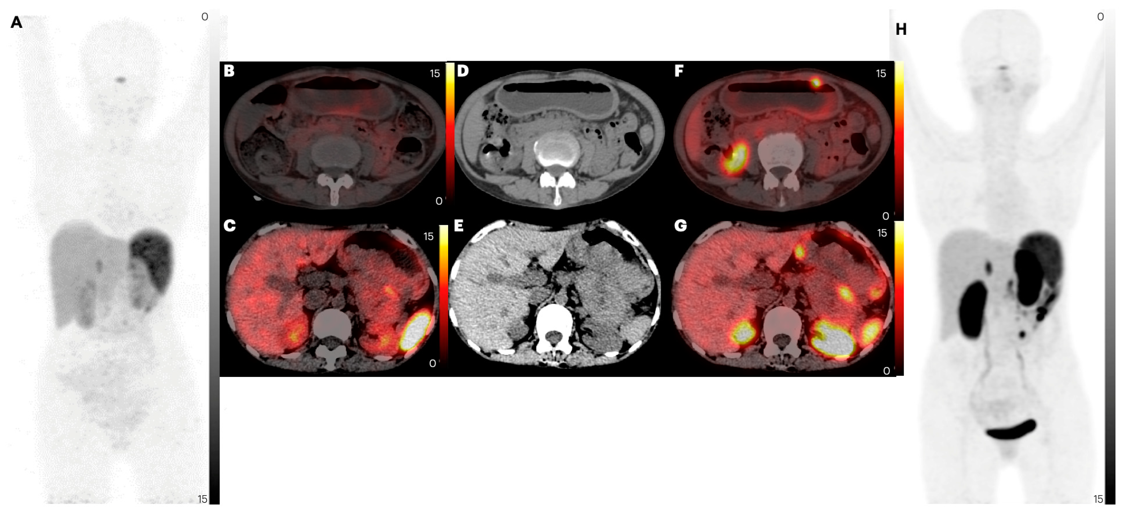 Pharmaceuticals 17 00275 g004