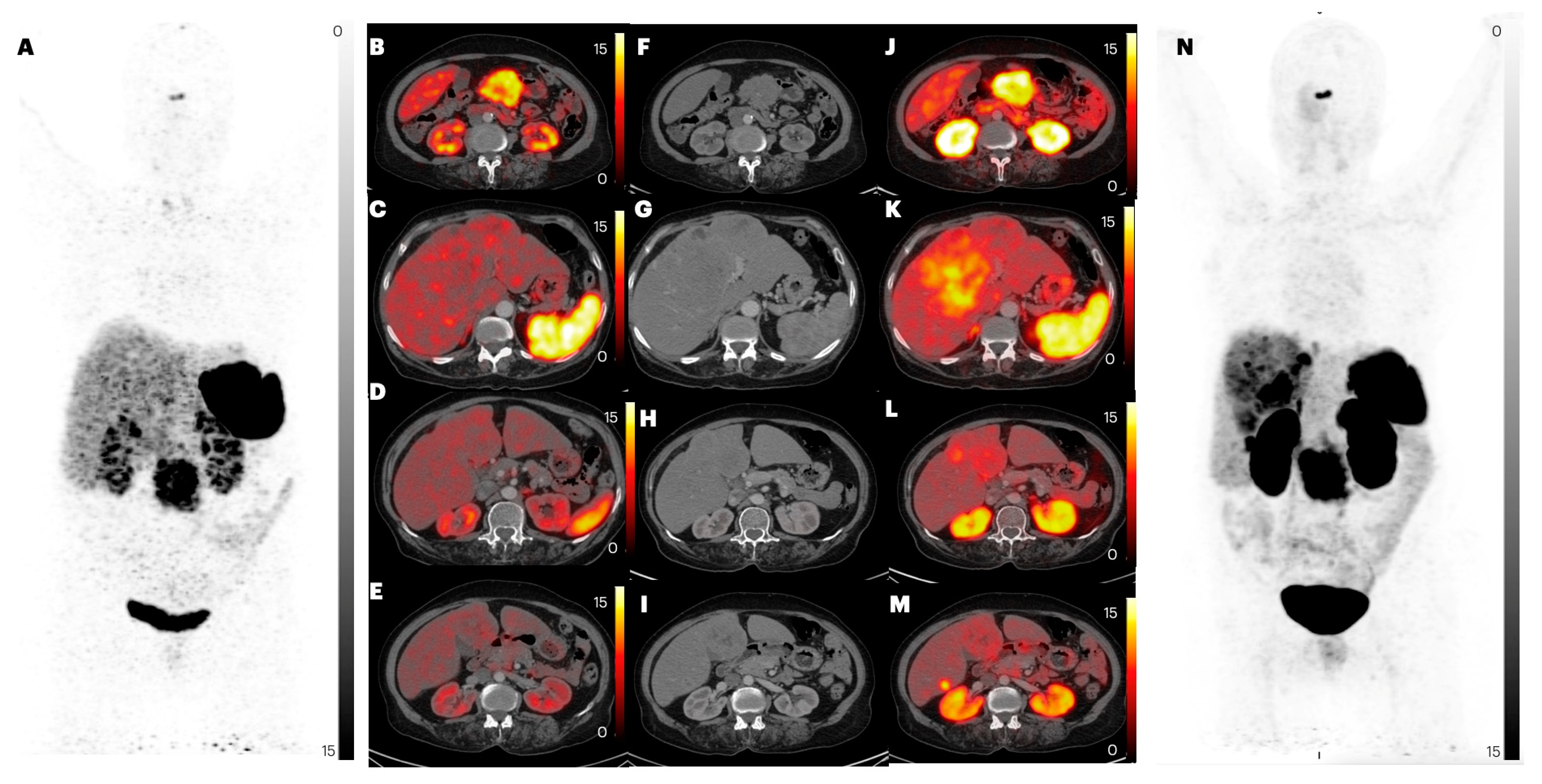Pharmaceuticals 17 00275 g008
