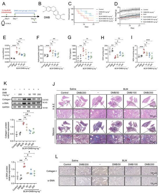 Demethyleneberberine Alleviates Pulmonary Fibrosis through