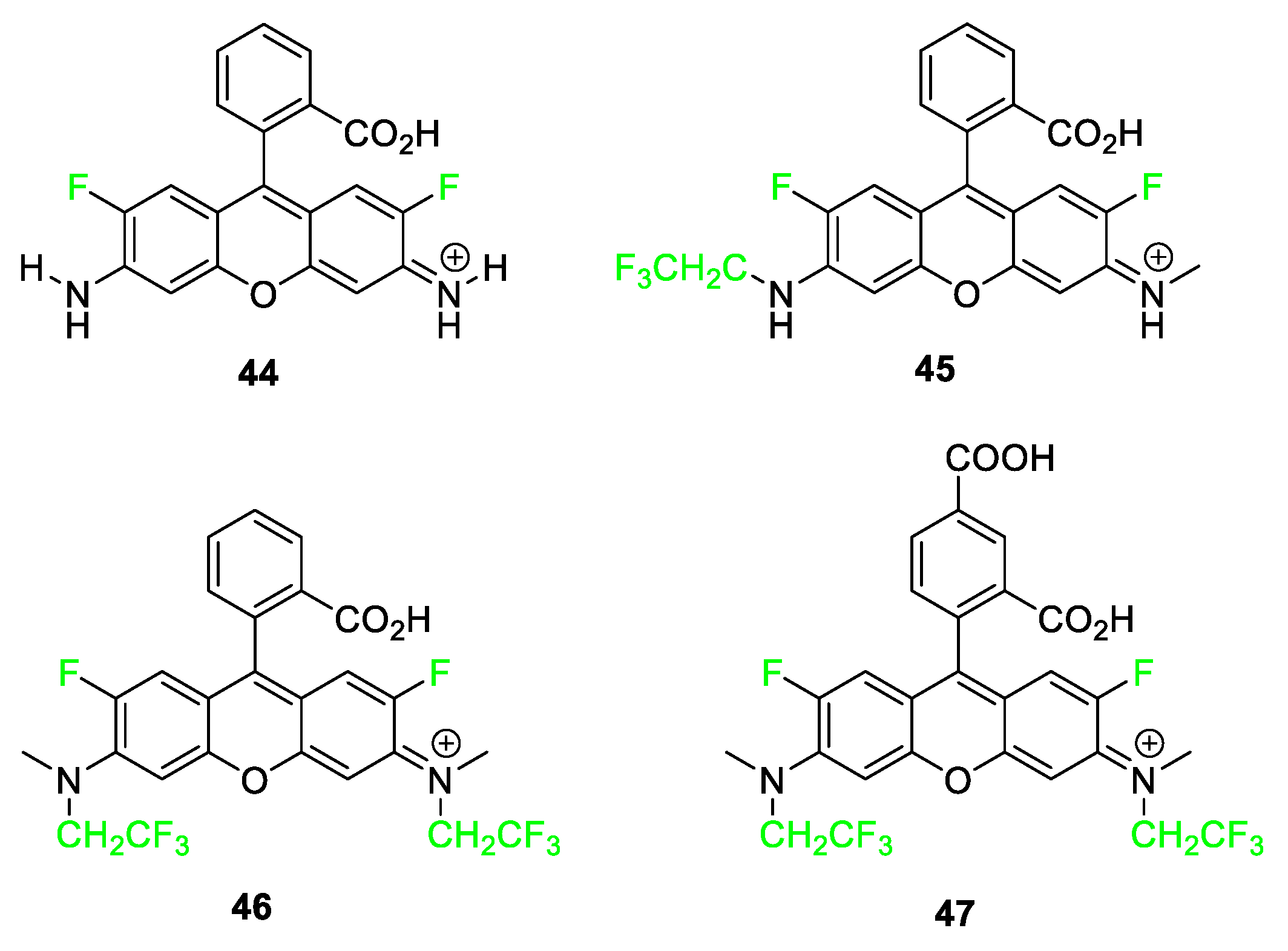Pharmaceuticals 17 00281 g018 Pharmaceuticals 17 00281 g018