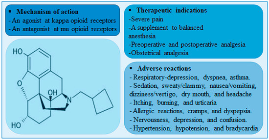 Hyperlipidemia Increases Nalbuphine Brain Accumulation with 