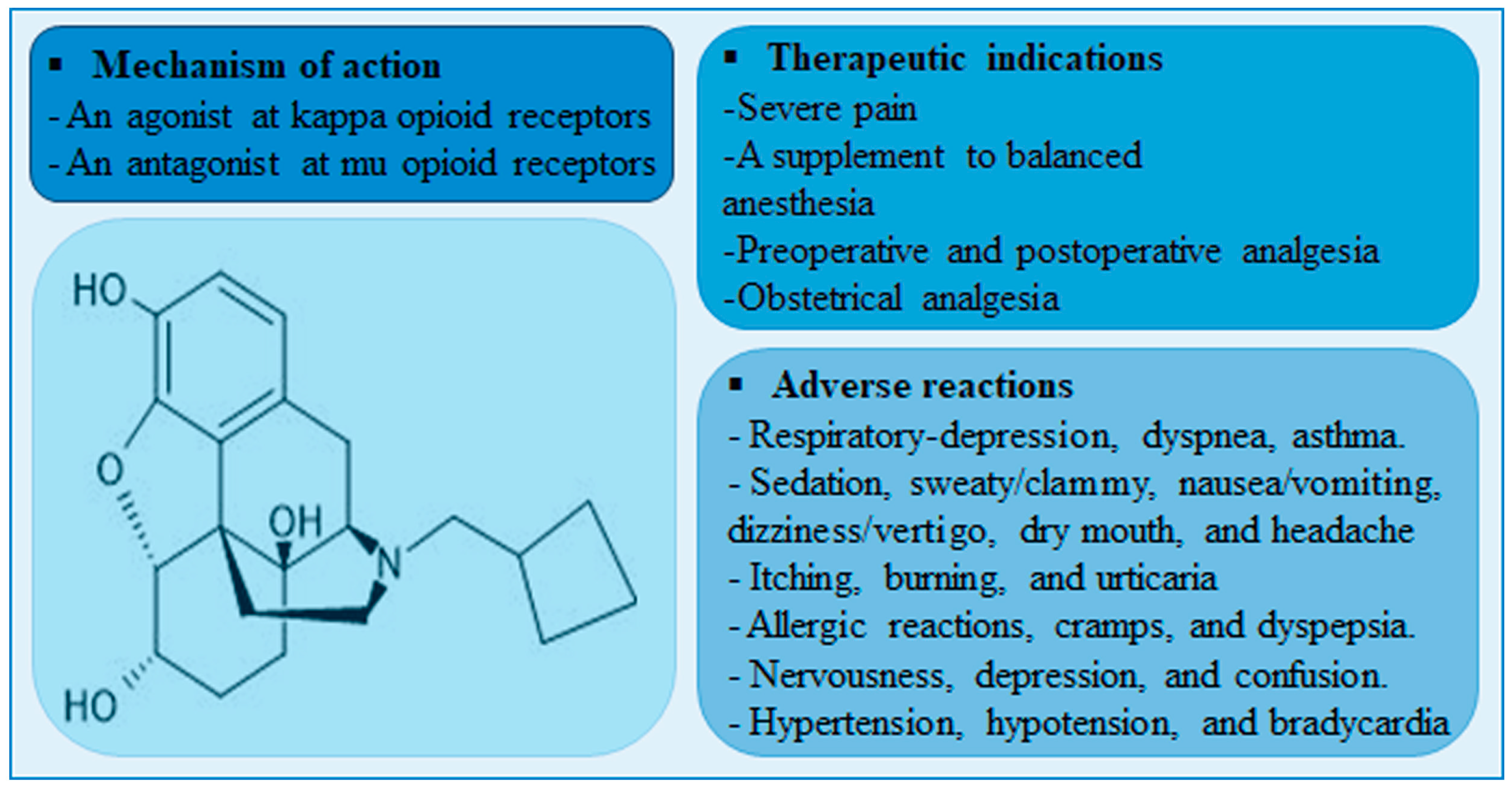 Hyperlipidemia Increases Nalbuphine Brain Accumulation with 