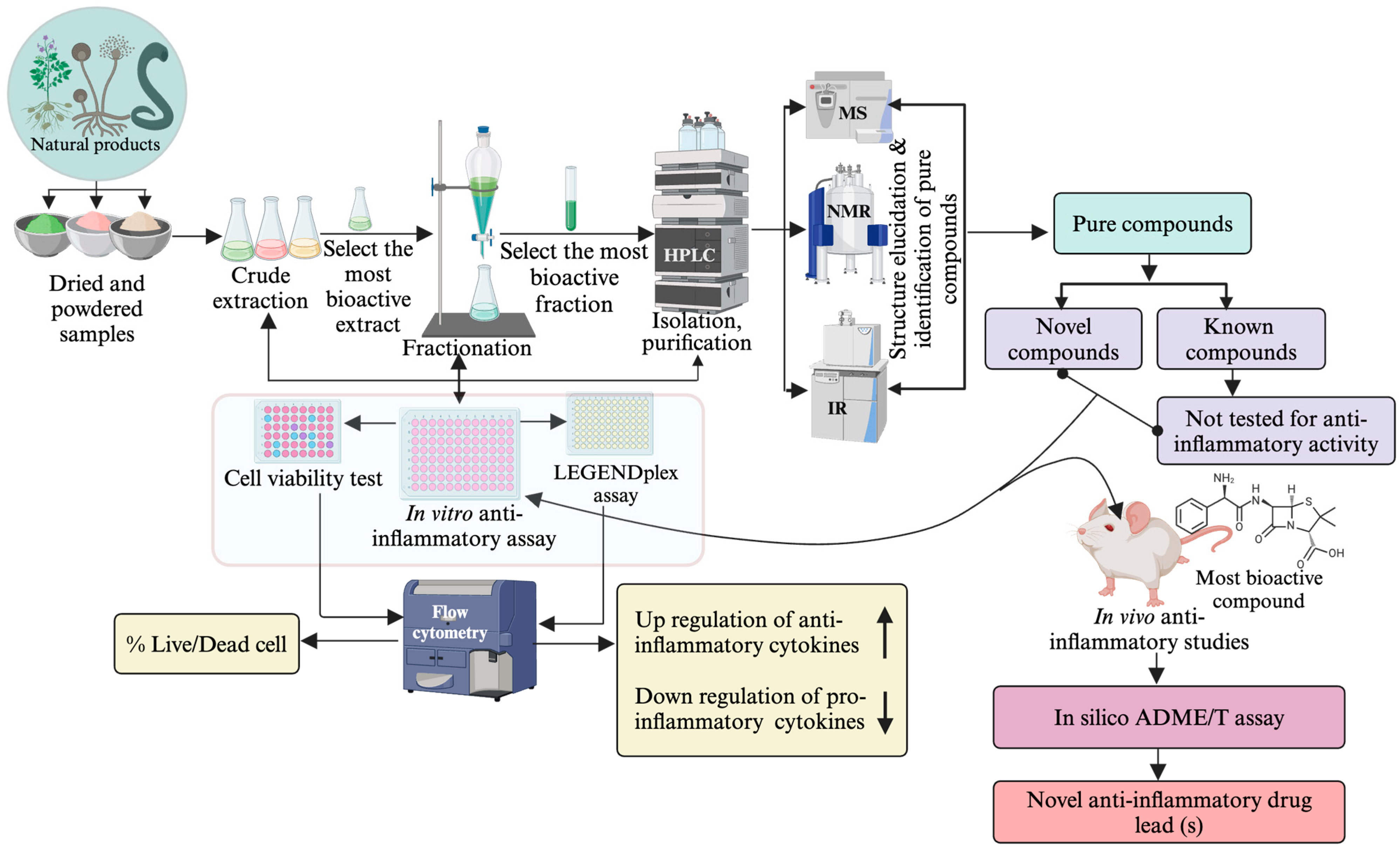Pharmaceuticals 17 00283 g003 Pharmaceuticals 17 00283 g003