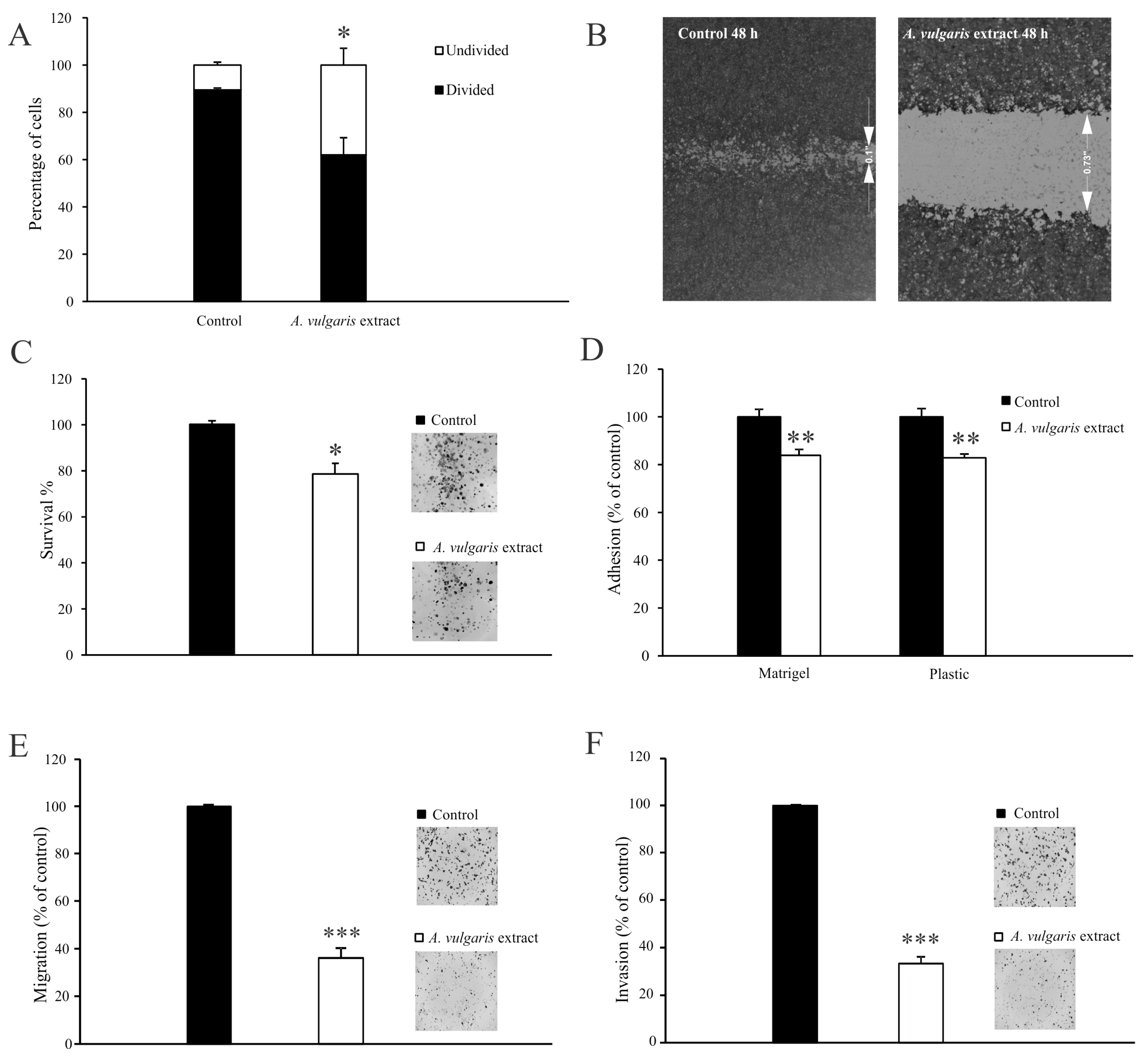 Pharmaceuticals 17 00286 g002