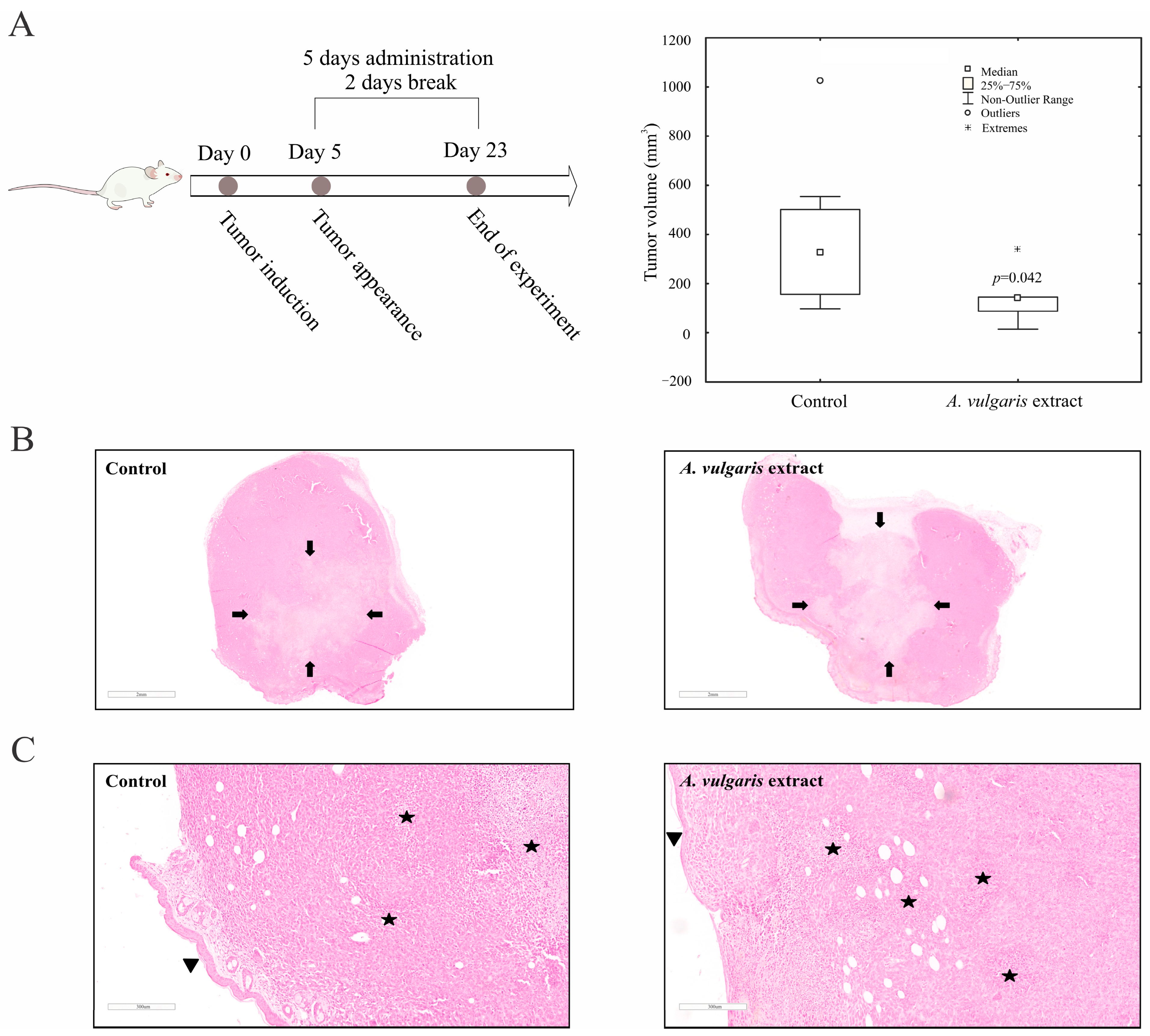 Pharmaceuticals 17 00286 g004