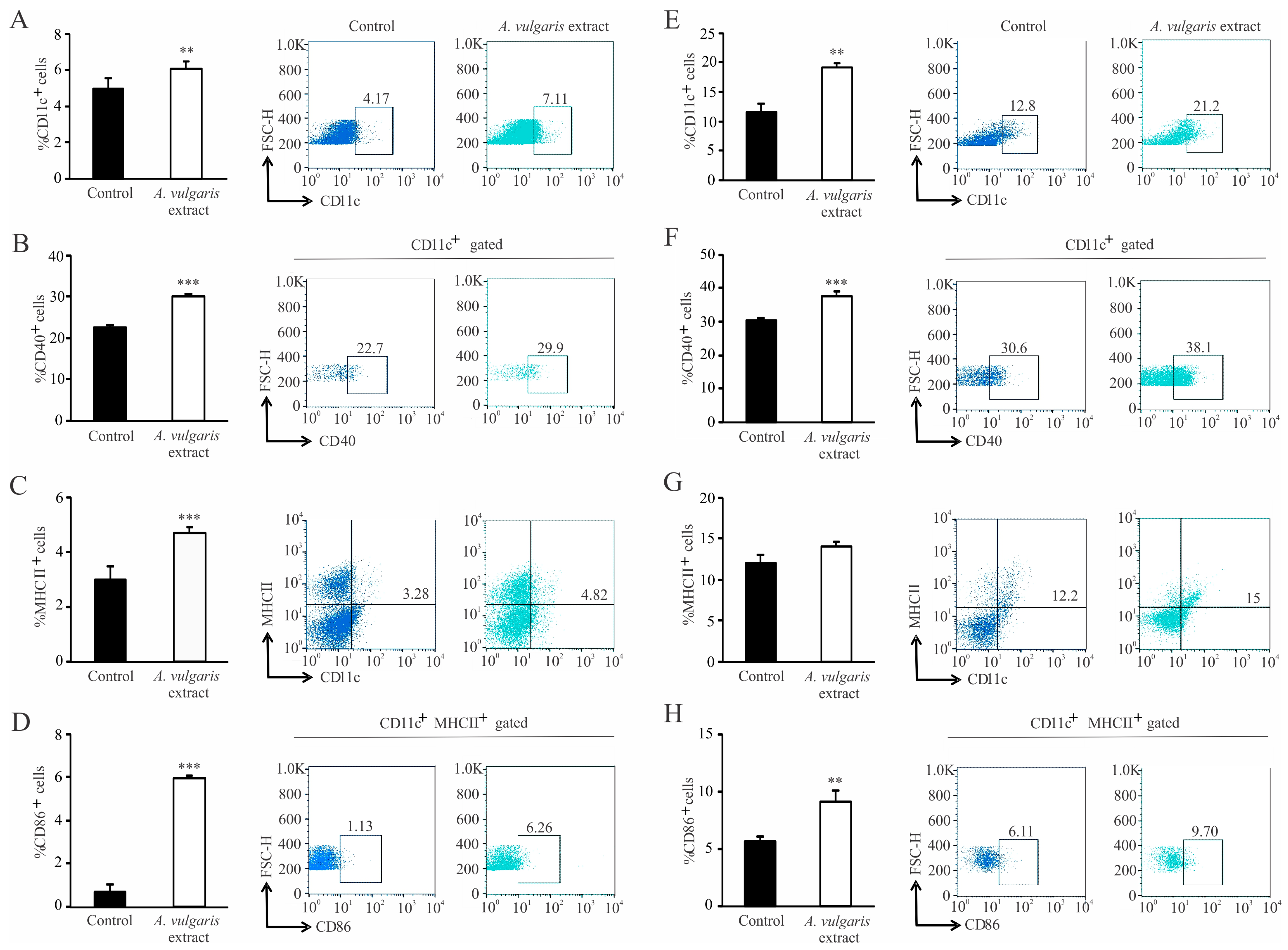 Pharmaceuticals 17 00286 g006